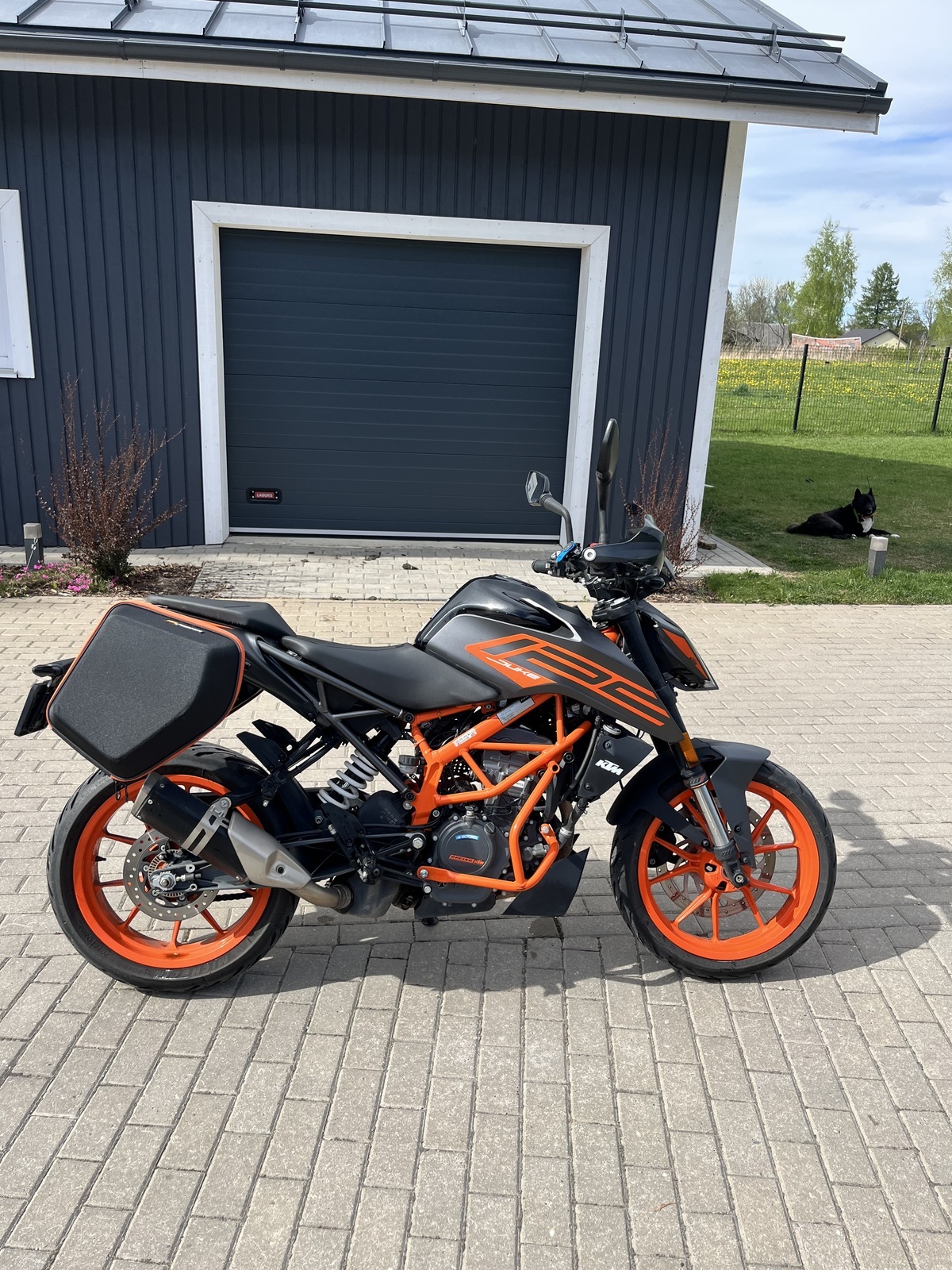 KTM 125 DUKE 2023, photo 3/6