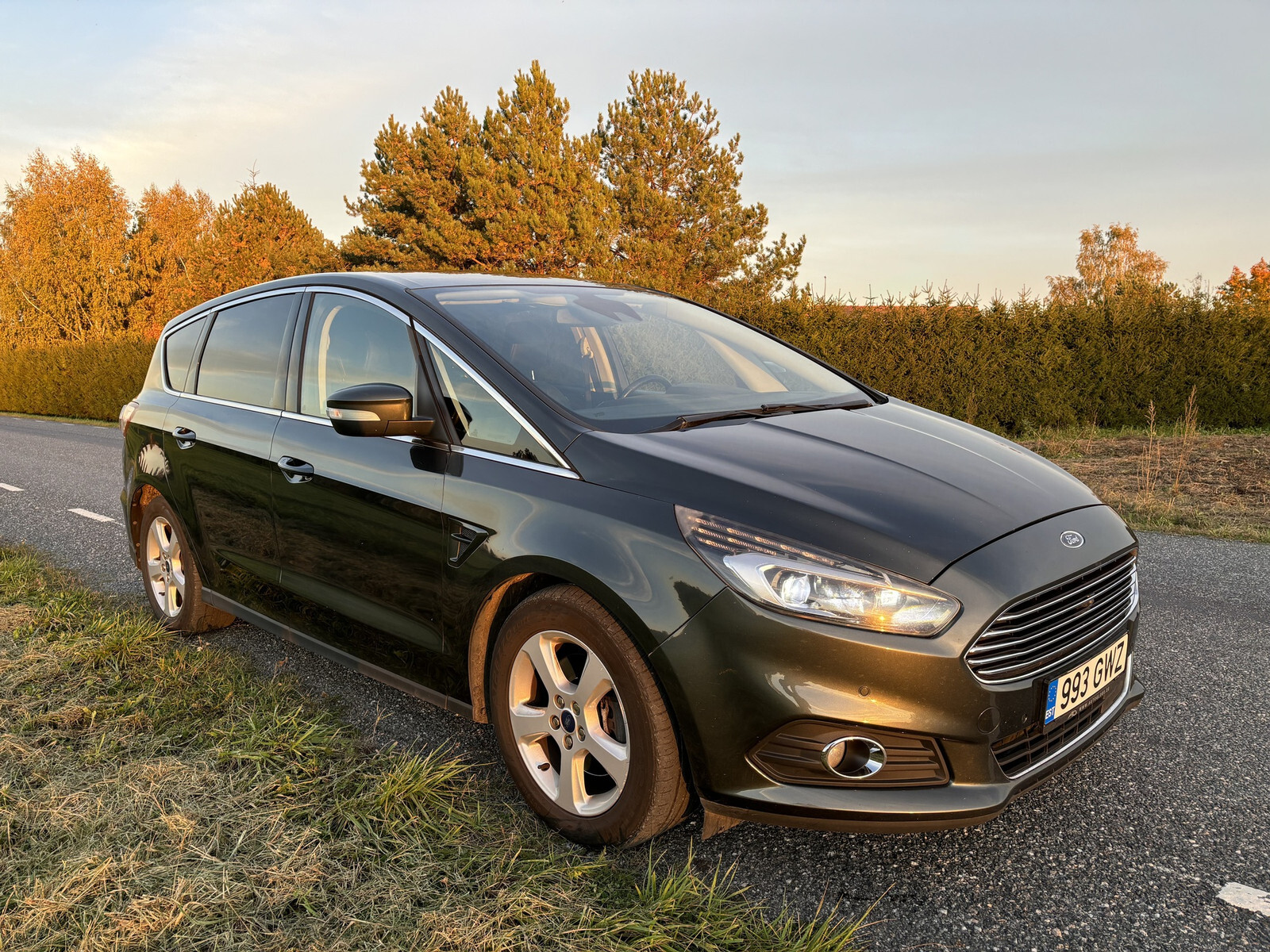 Ford S-Max 2016, photo 3/10
