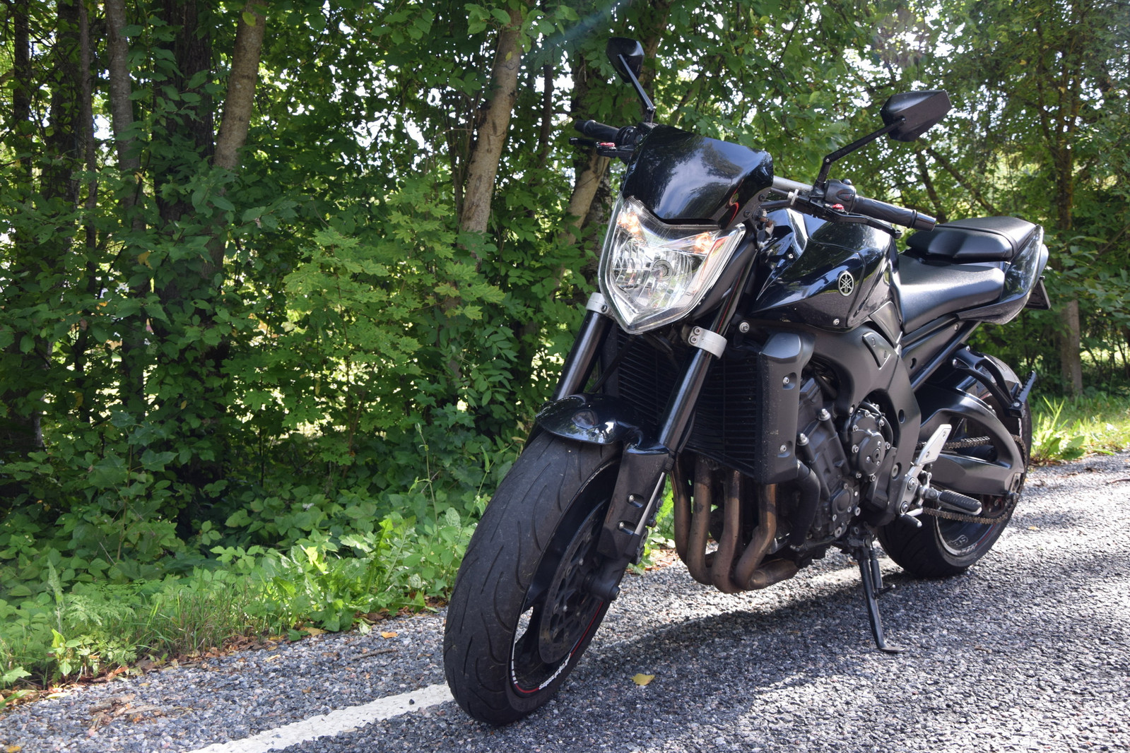 Yamaha FZ1 2007, photo 5/8