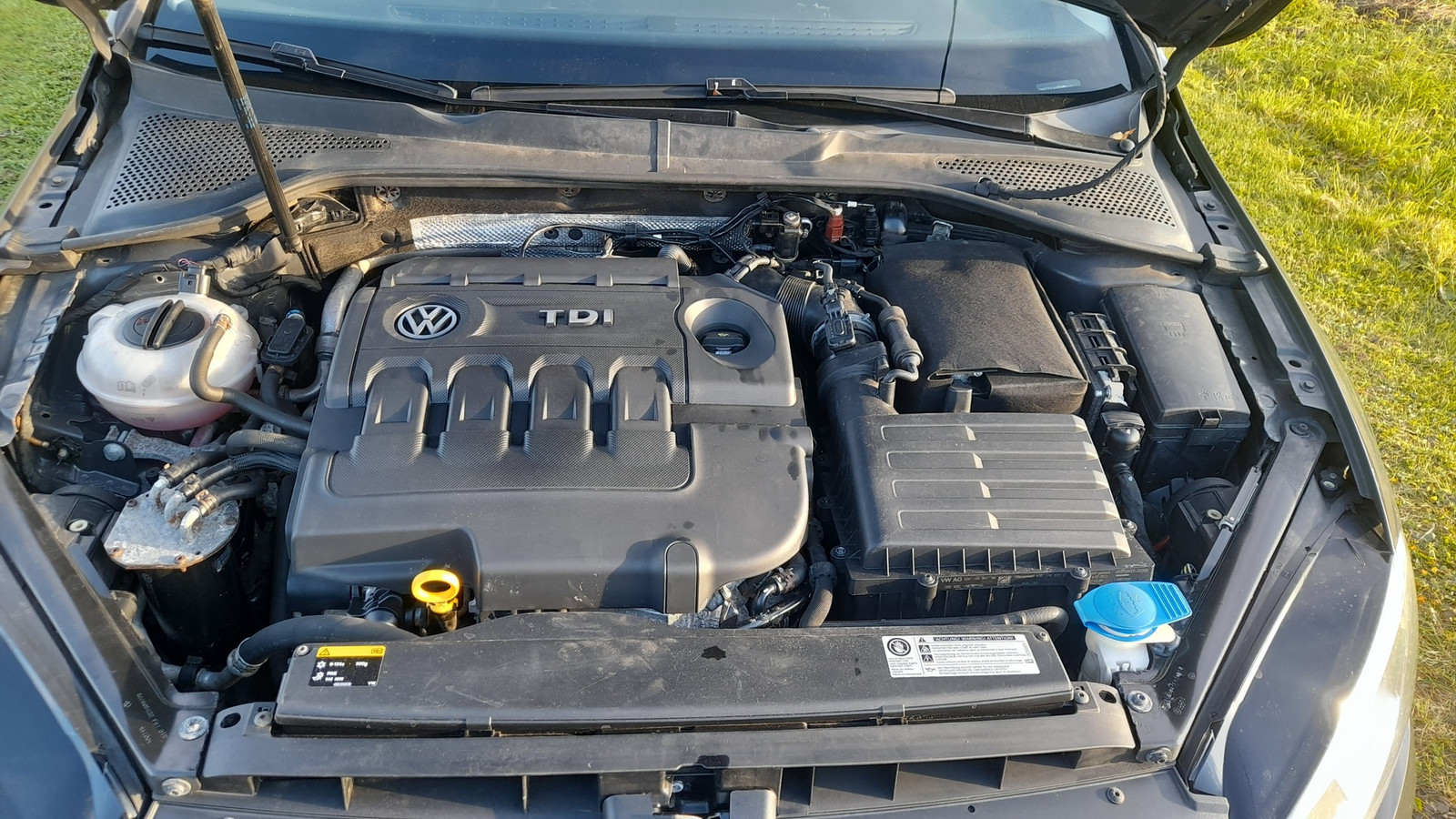 Volkswagen Golf 2015, kuva 7/8