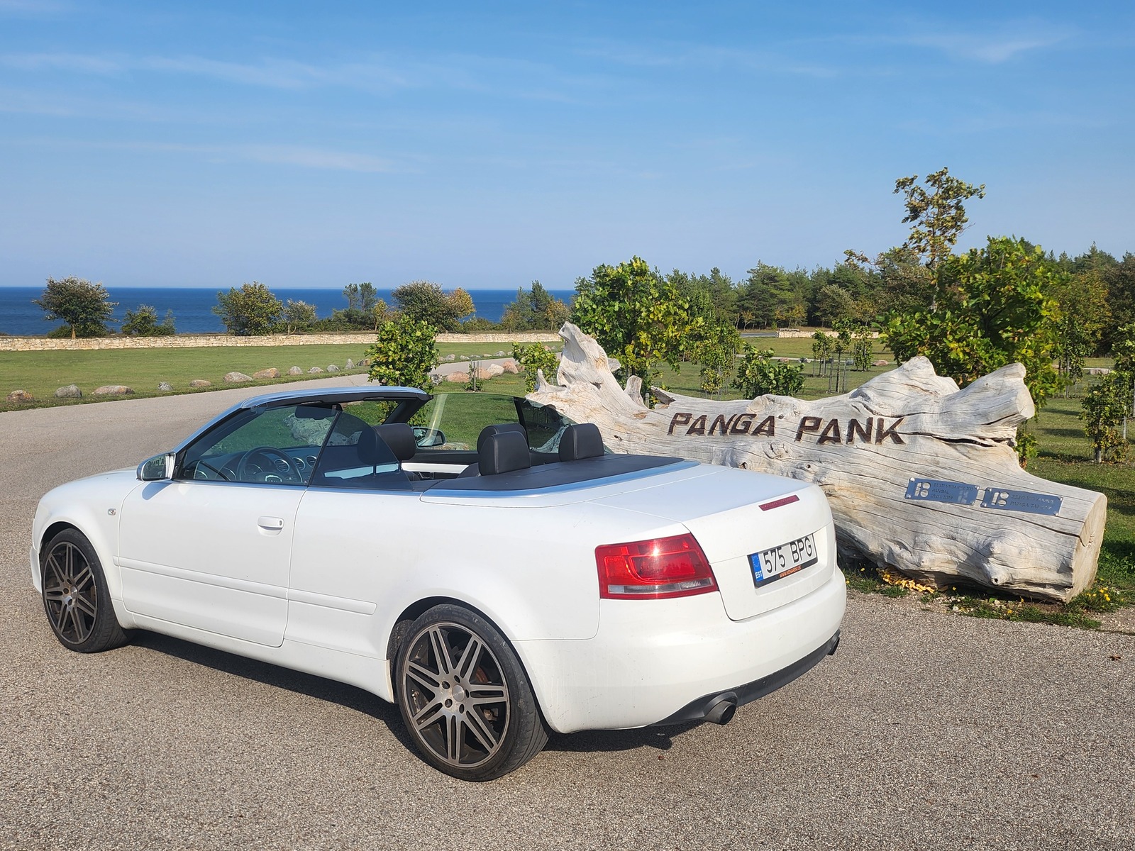 Audi A4 2008, photo 4/8