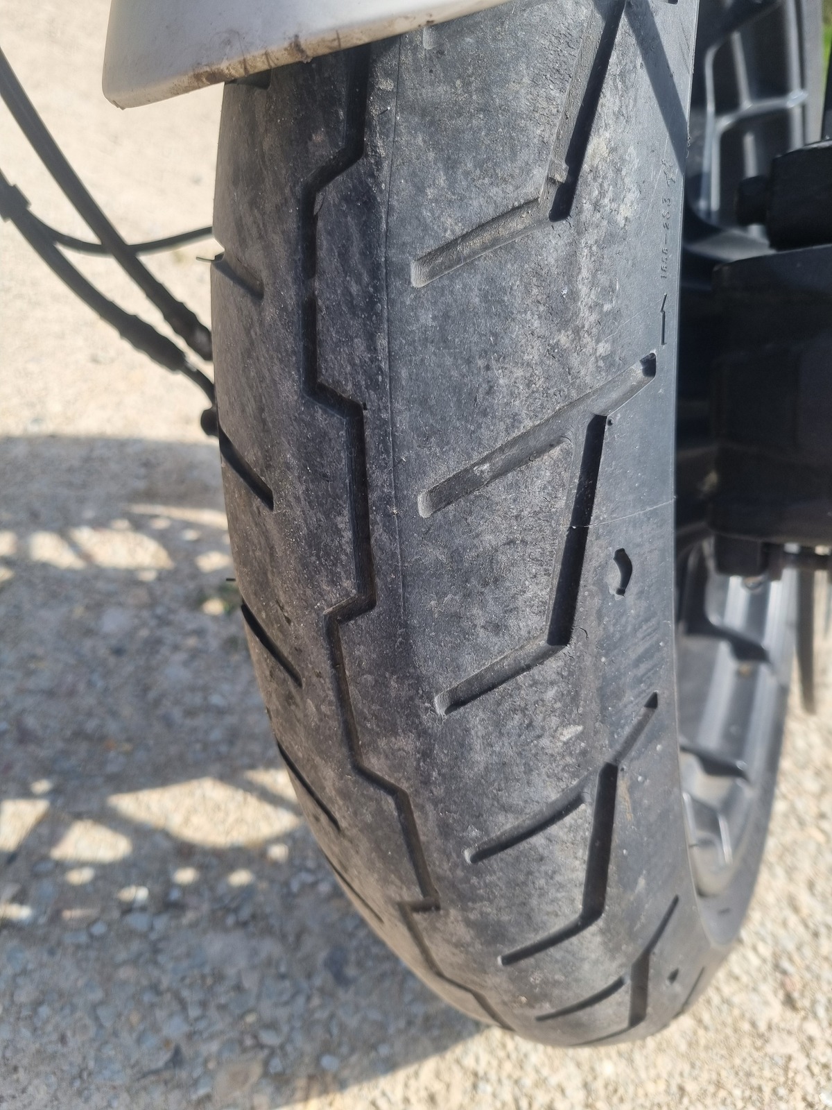 Harley-Davidson STREET ROD 2019, kuva 7/7