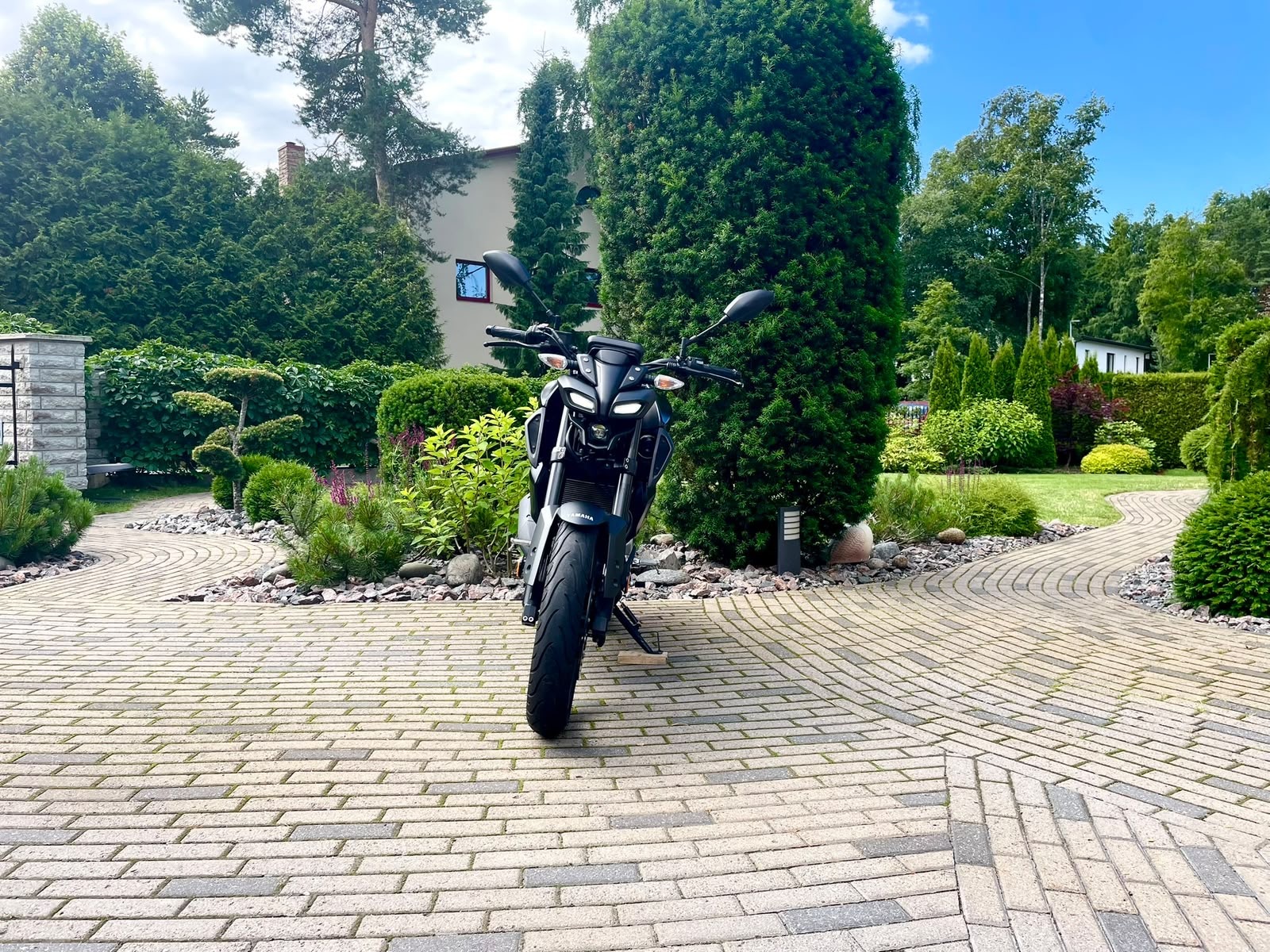 Yamaha MTN125-A 2023, photo 7/13