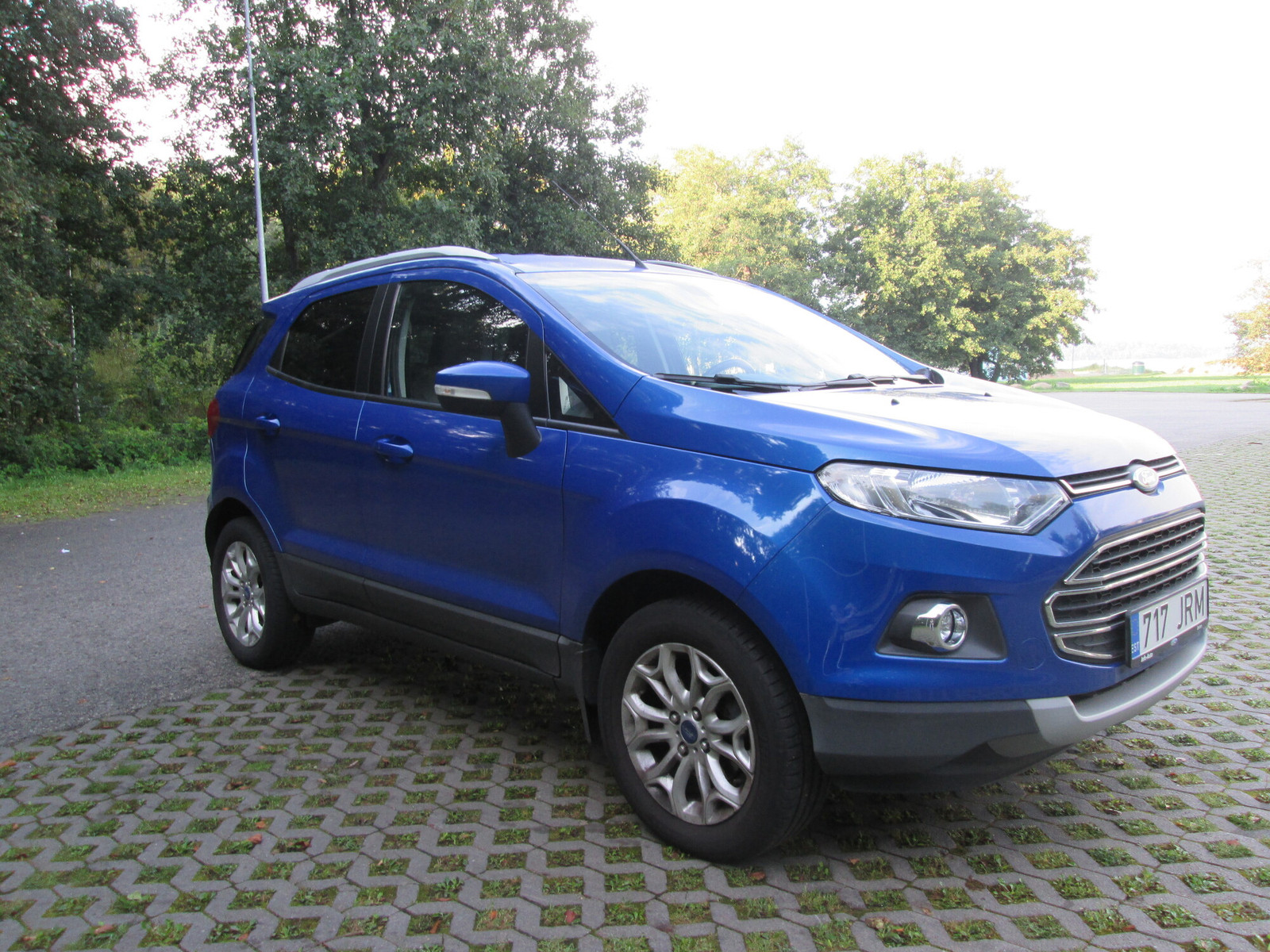 Ford EcoSport 2017, photo 2/18