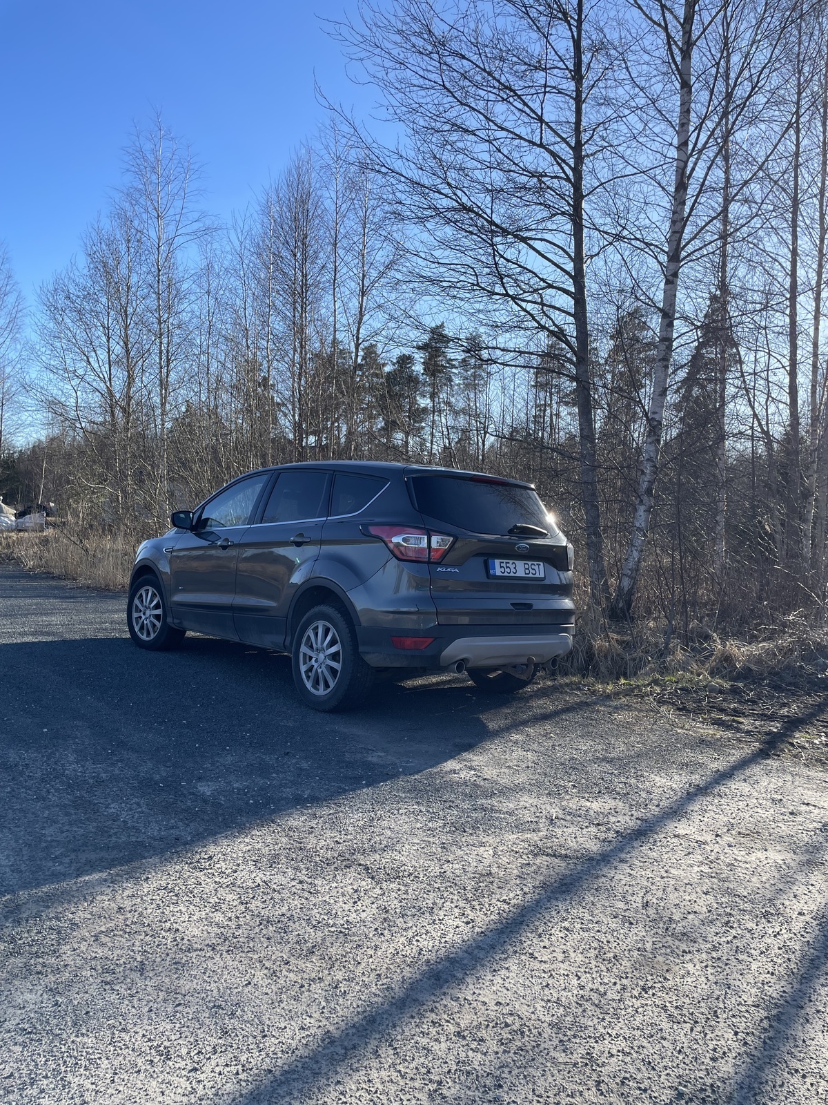 Ford Kuga 2017, photo 2/12