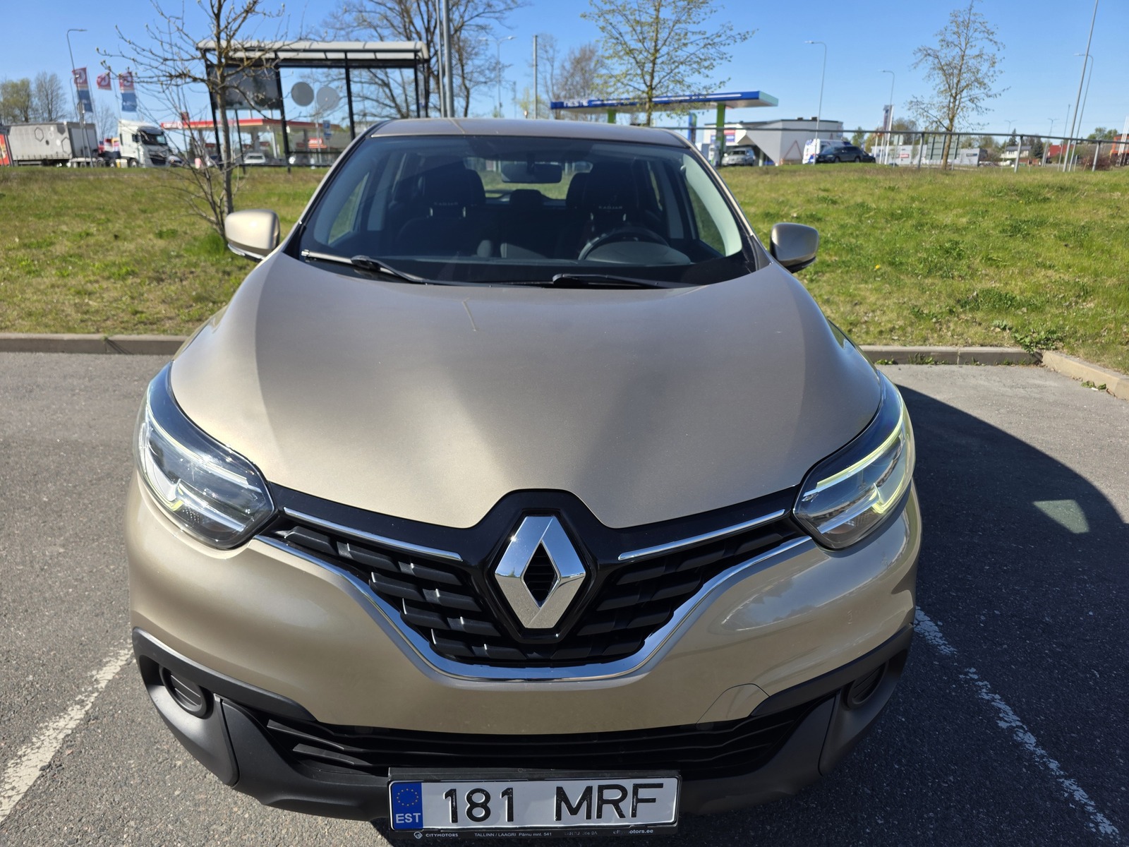 Renault Kadjar 2017, photo 7/9