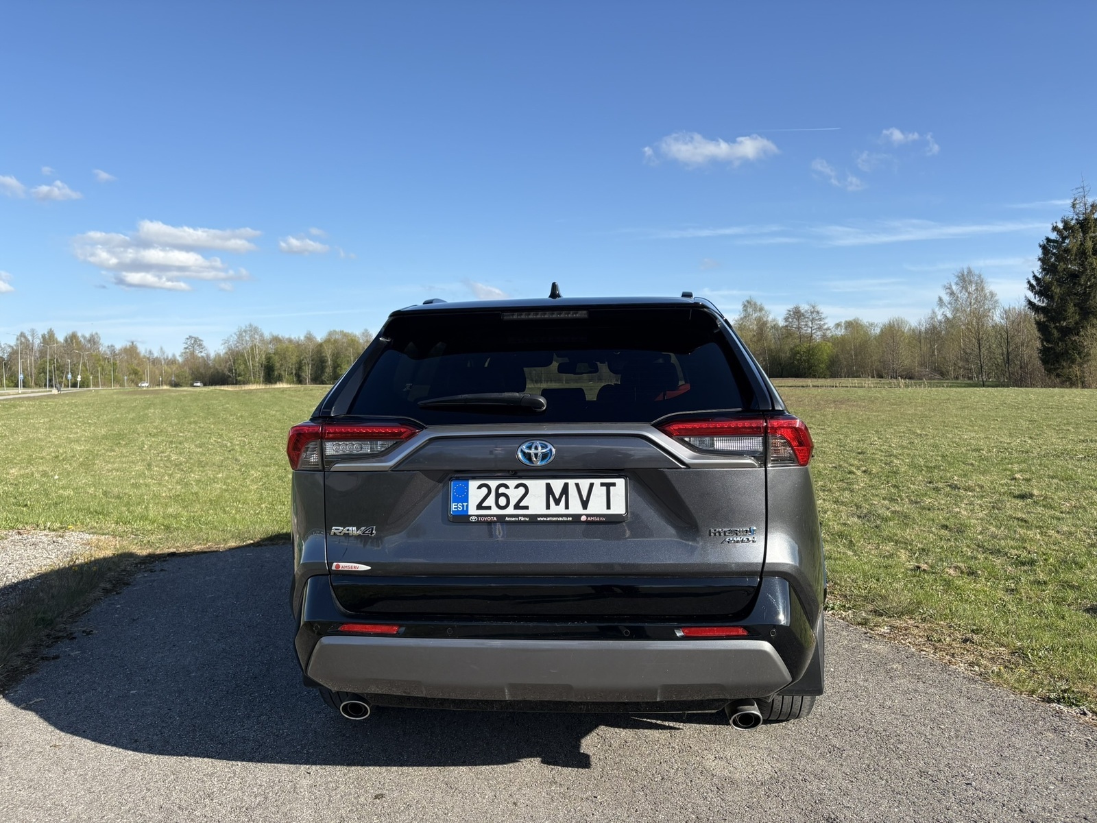 Toyota RAV4 2021, photo 5/13