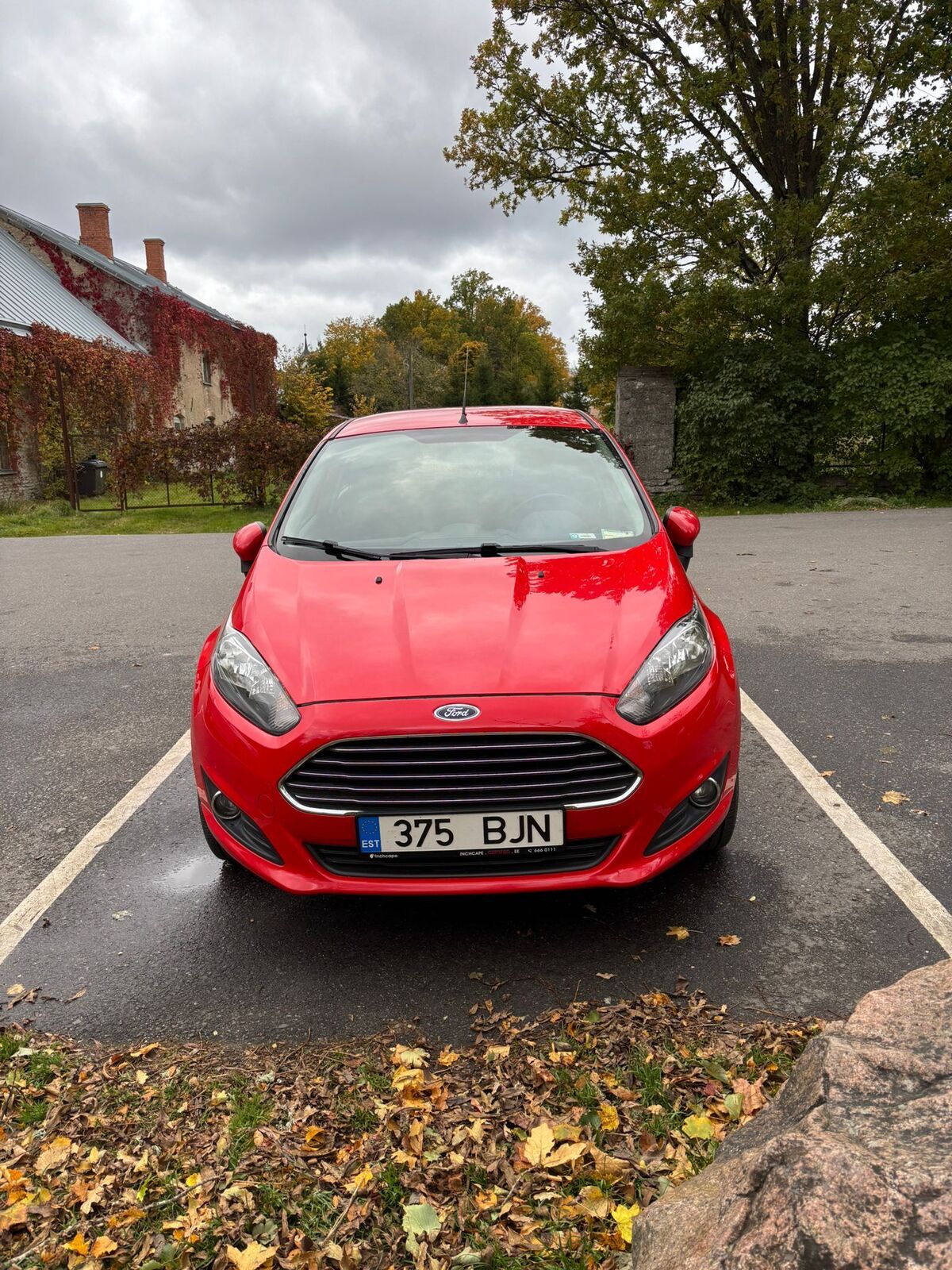 Ford Fiesta 2013, photo 2/6