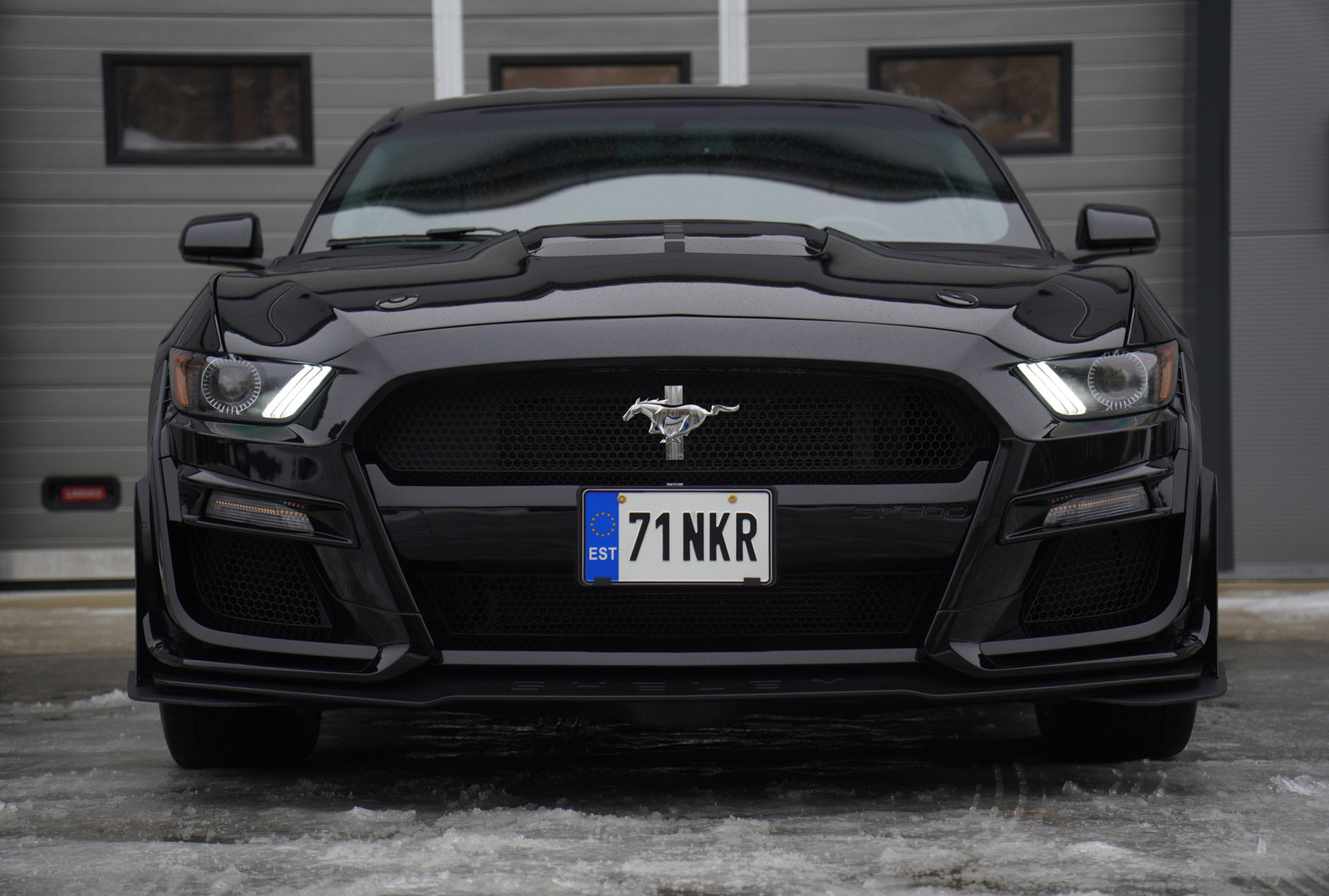 Ford Mustang 2017, photo 7/16