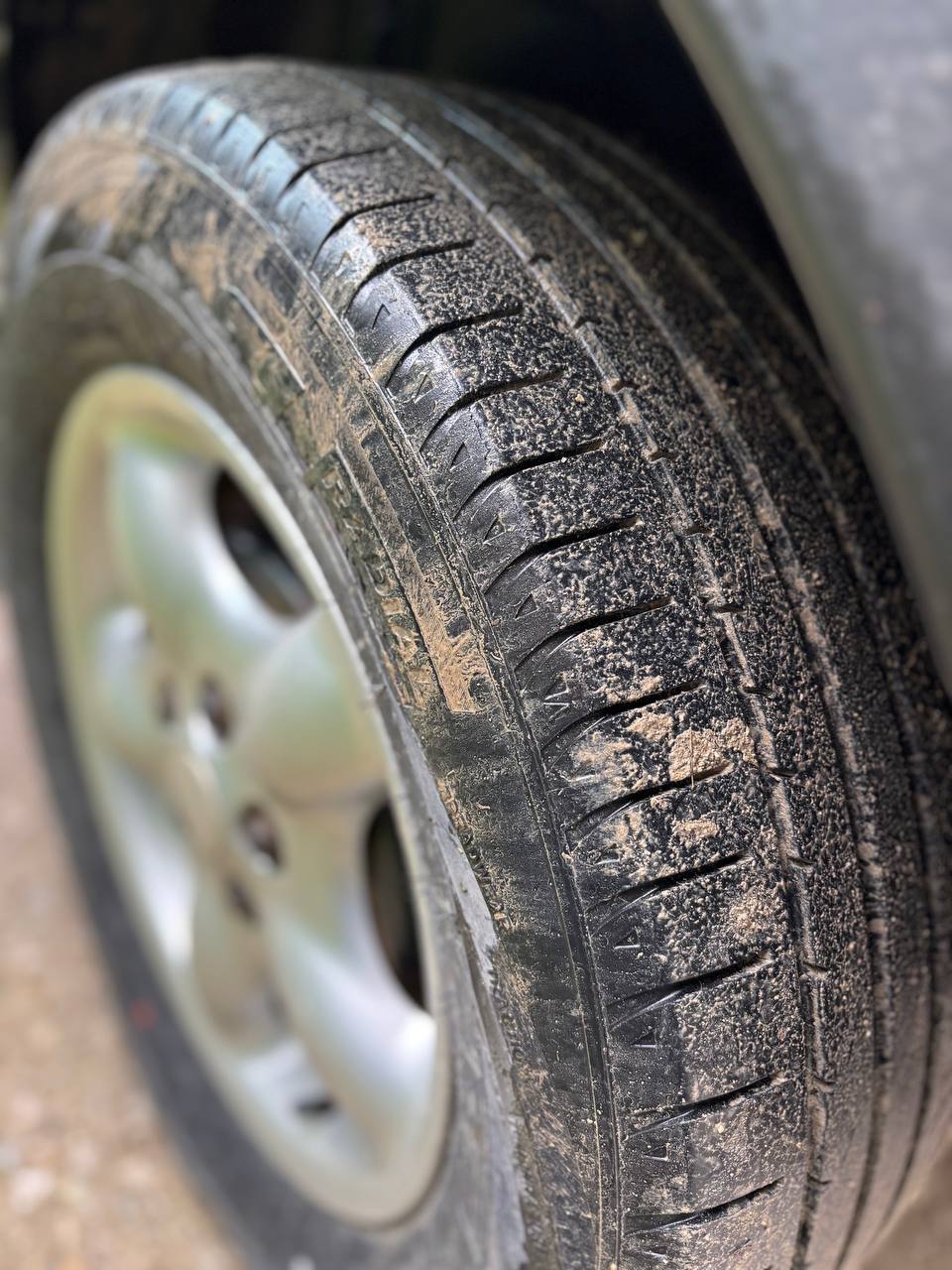 Land Rover Freelander 2005, photo 6/15