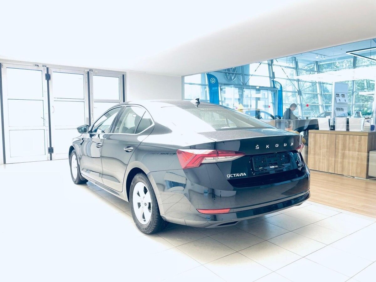 Škoda Octavia 2022, photo 7/51