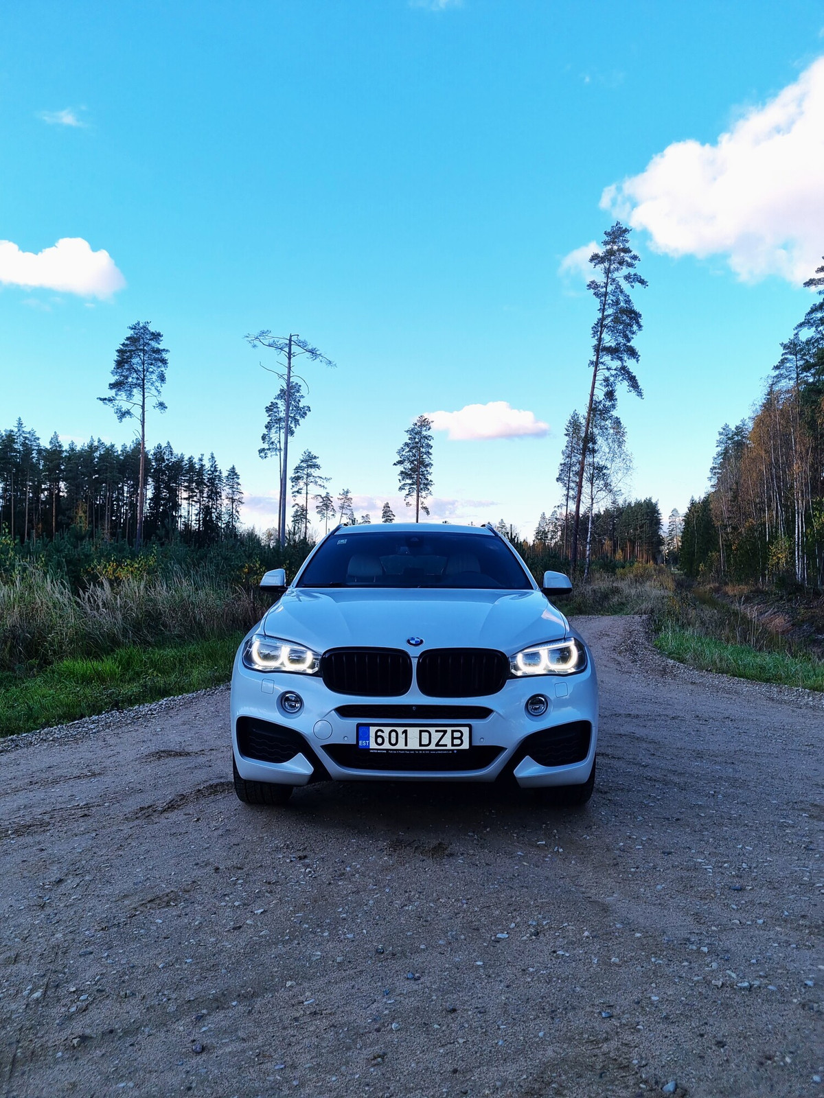 BMW X6 2016, photo 3/23