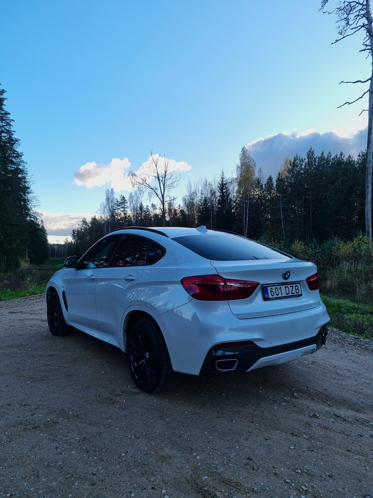 BMW X6 2016, photo 7/23
