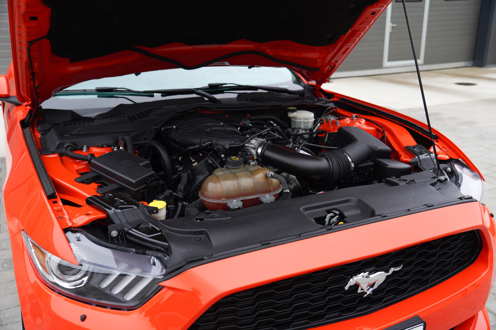 Ford Mustang 2015, kuva 3/18