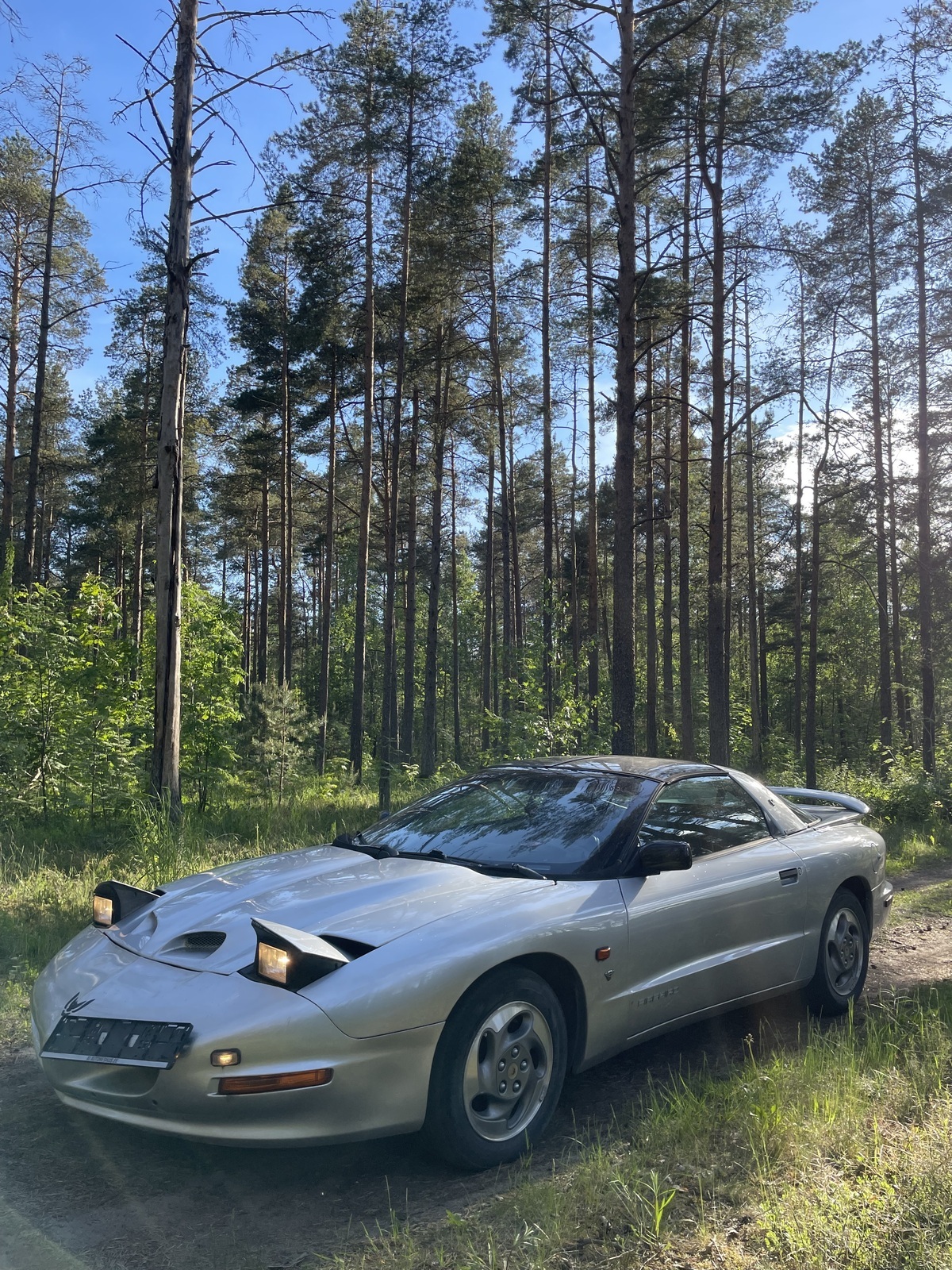 Pontiac Firebird 1996, kuva 6/44