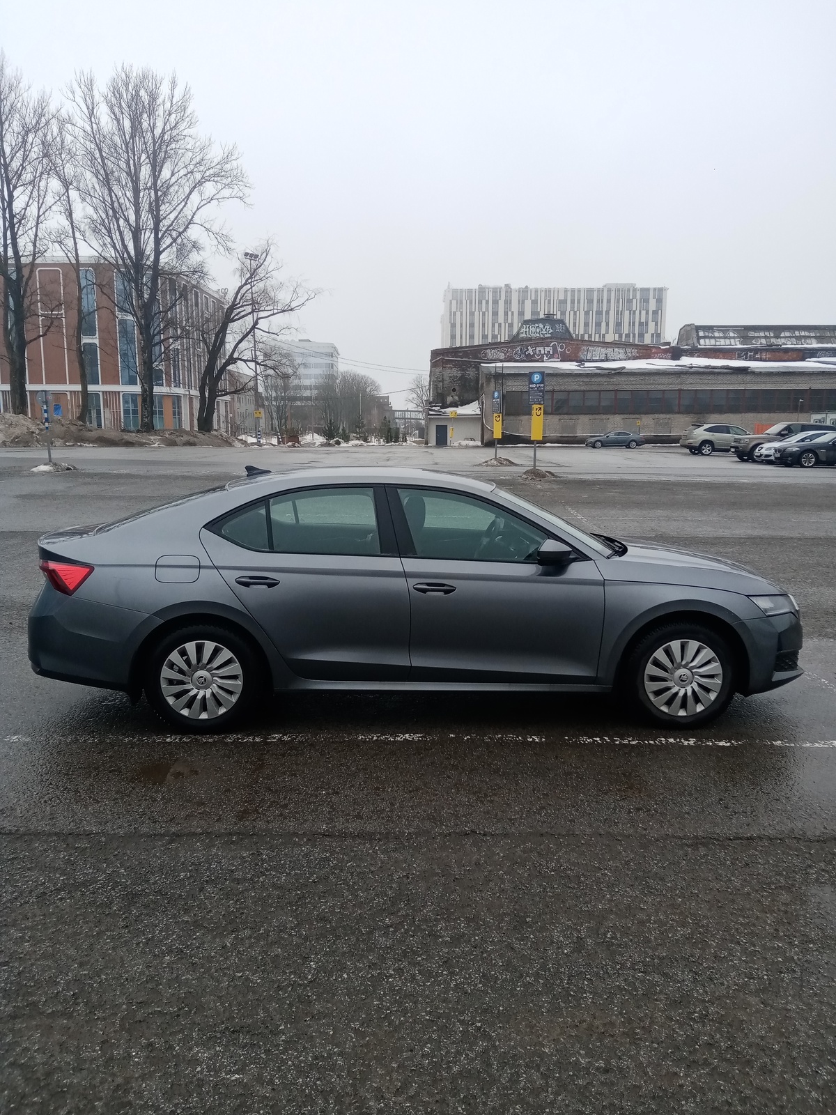 Škoda Octavia 2024, photo 4/20