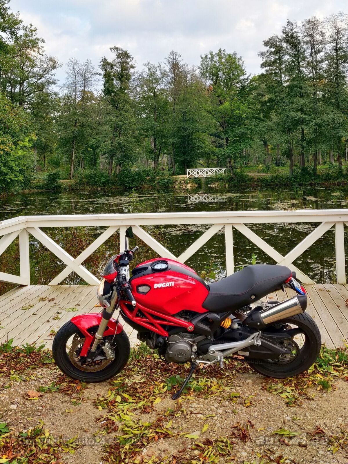Ducati Monster 2008, kuva 6/7