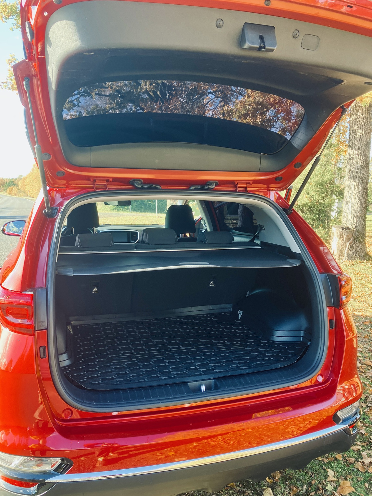Kia Sportage 2020, photo 5/7