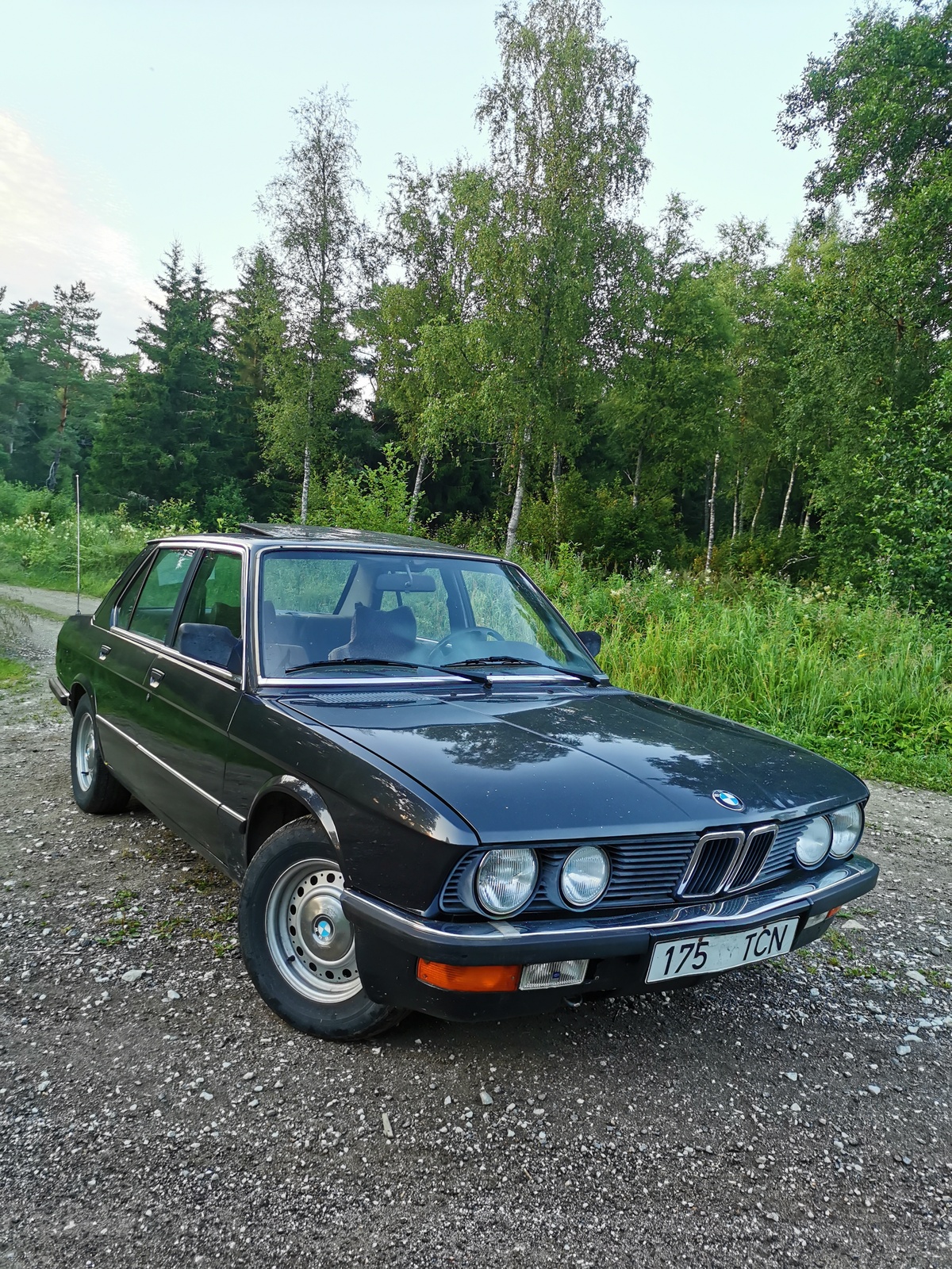 BMW 528 1987, photo 2/5