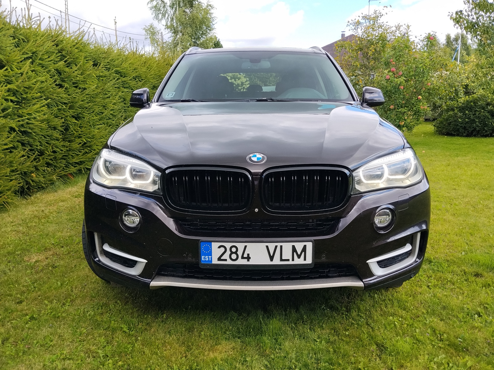 BMW X5 2014, photo 5/14