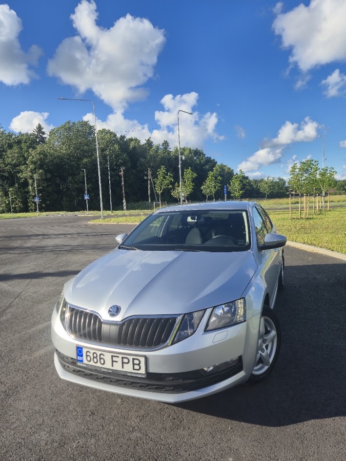 Škoda Octavia 2018, photo 4/8