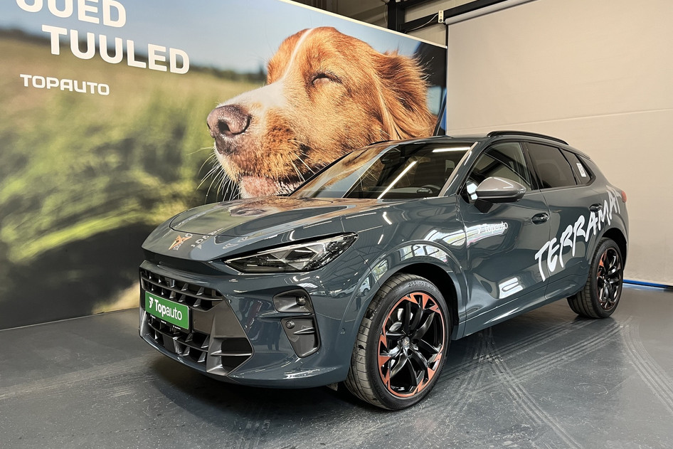 Cupra Terramar, 2026, 2.0, 195 kW, bensiin, automaat, nelikvedu