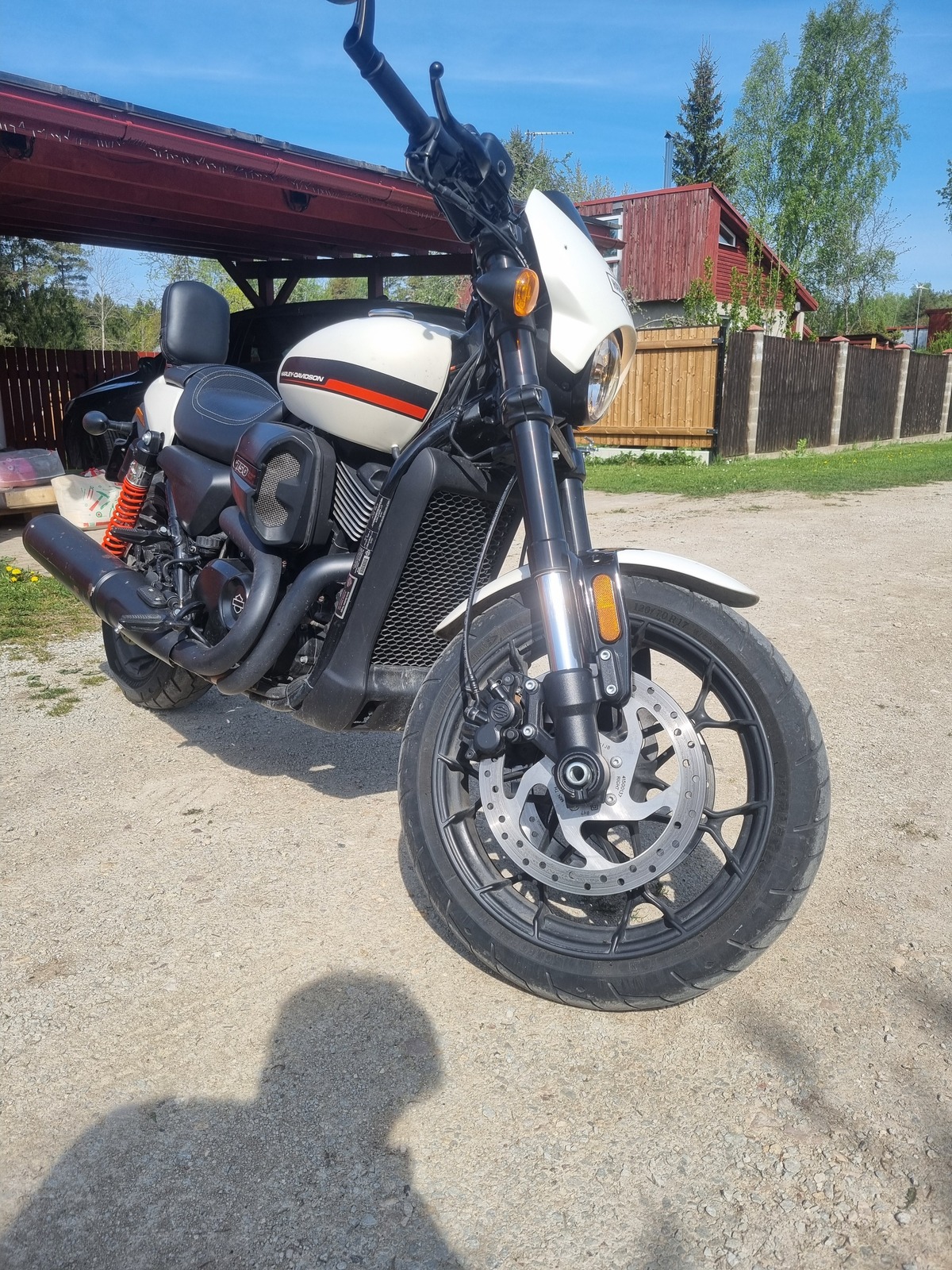 Harley-Davidson STREET ROD 2019, kuva 3/7