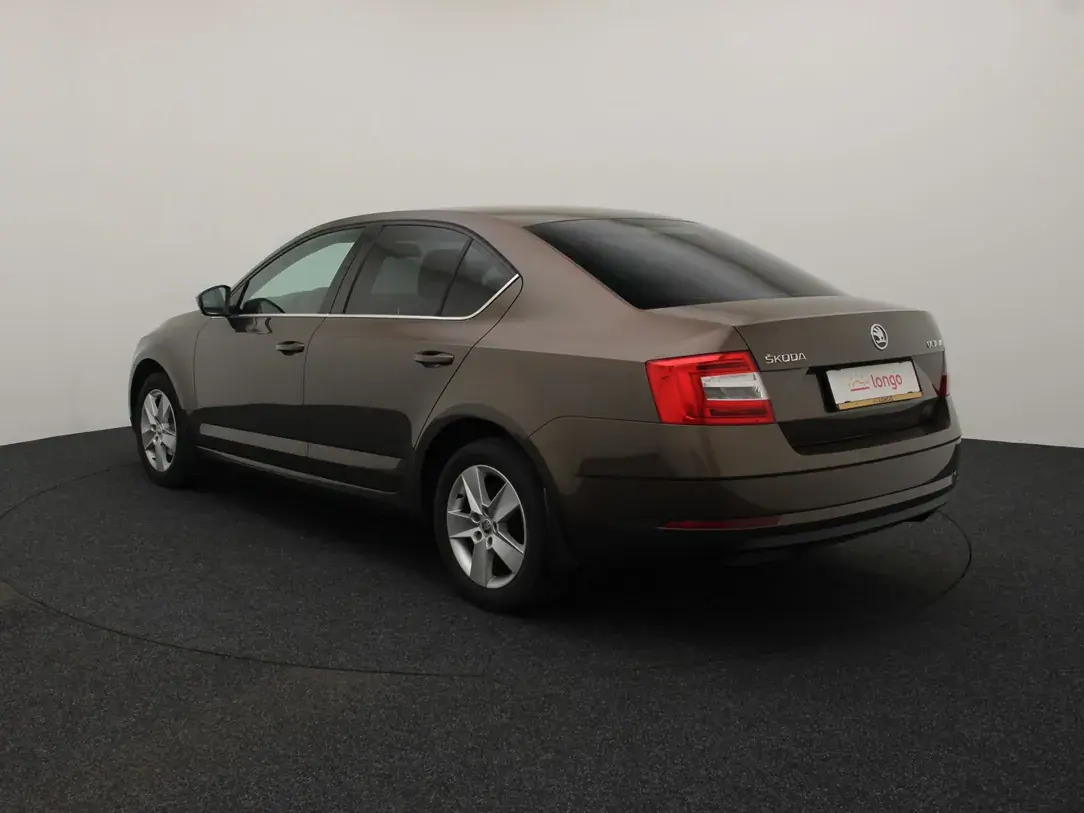 Škoda Octavia 2018, photo 7/31