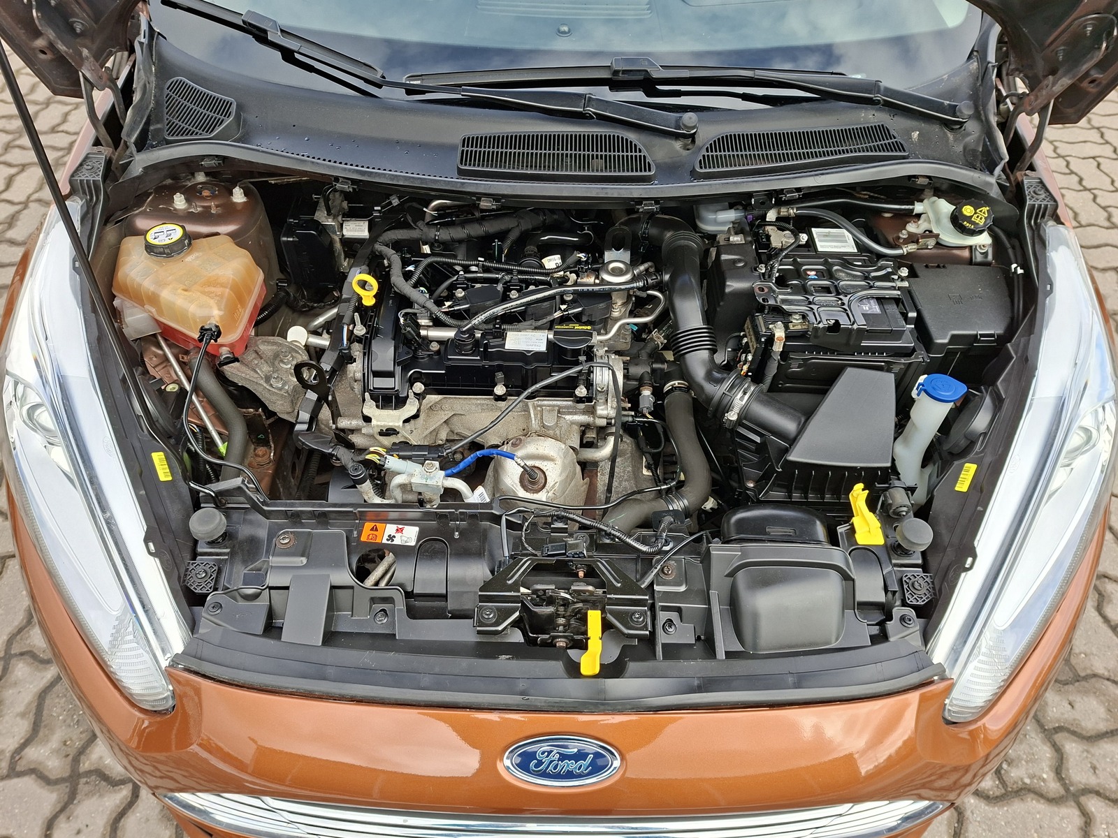 Ford Fiesta 1.0 59kW 2013, photo 5/10