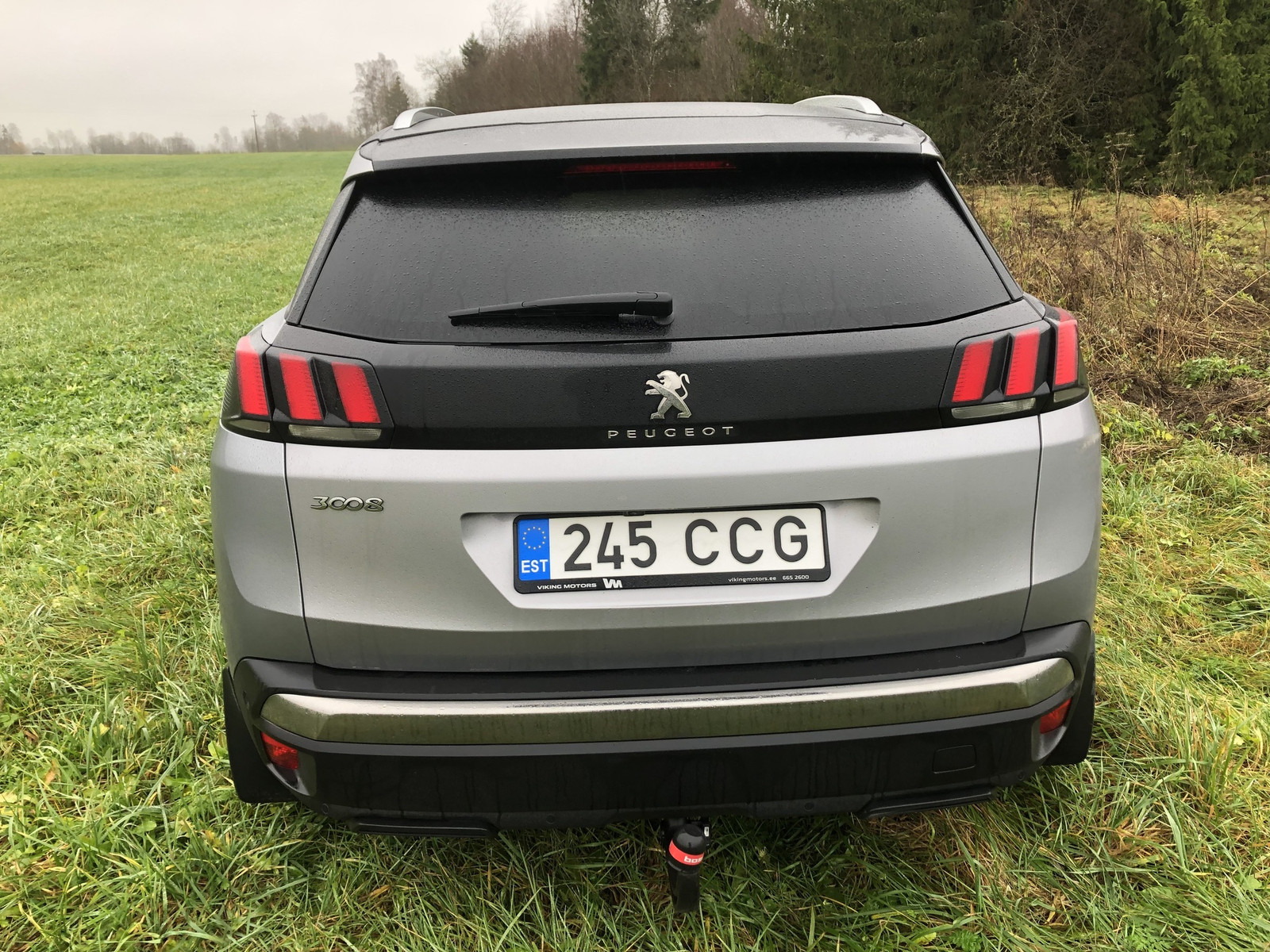 Peugeot 3008 2020, photo 4/7