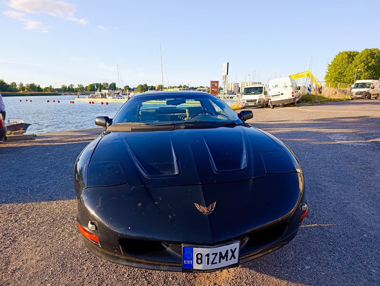 Pontiac Firebird 1994, photo 5/7