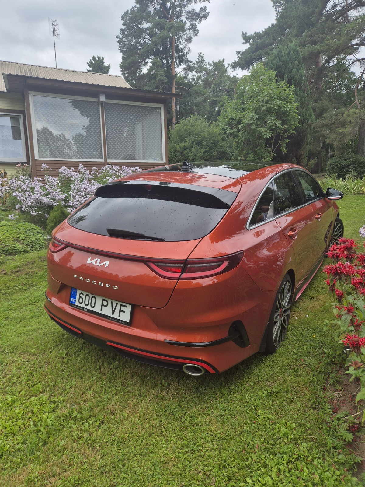 Kia pro cee'd / ProCeed 2022, photo 5/5