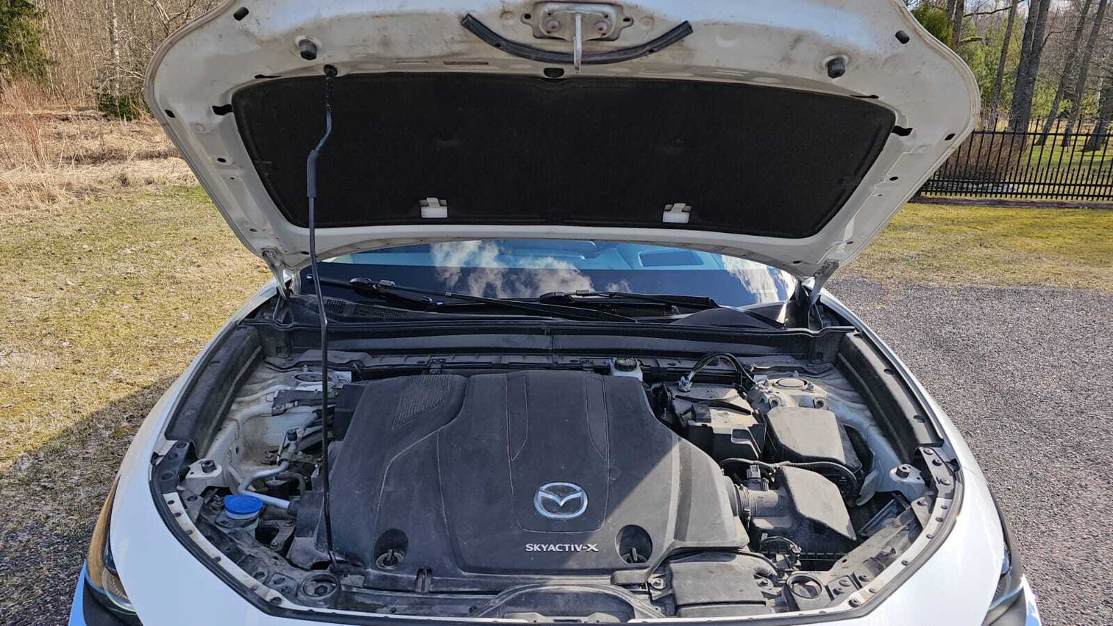 Mazda CX-30 2019, photo 6/13