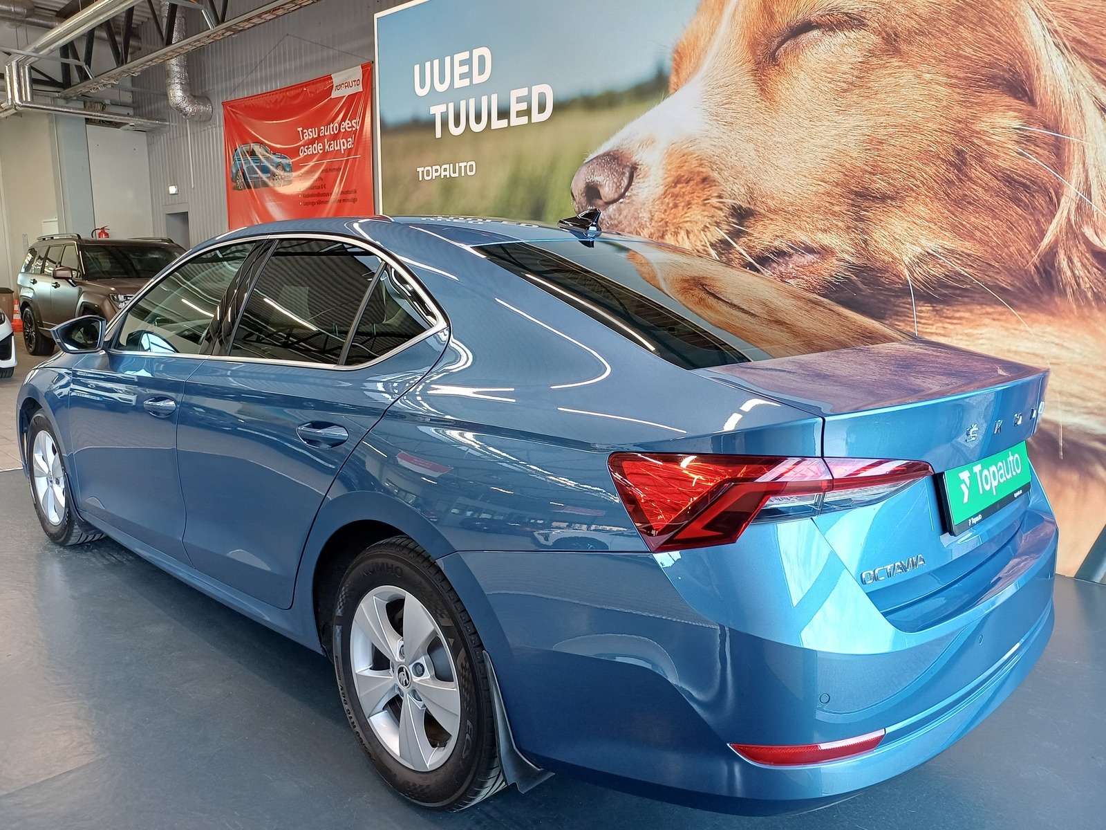 Škoda Octavia 2021, photo 3/26