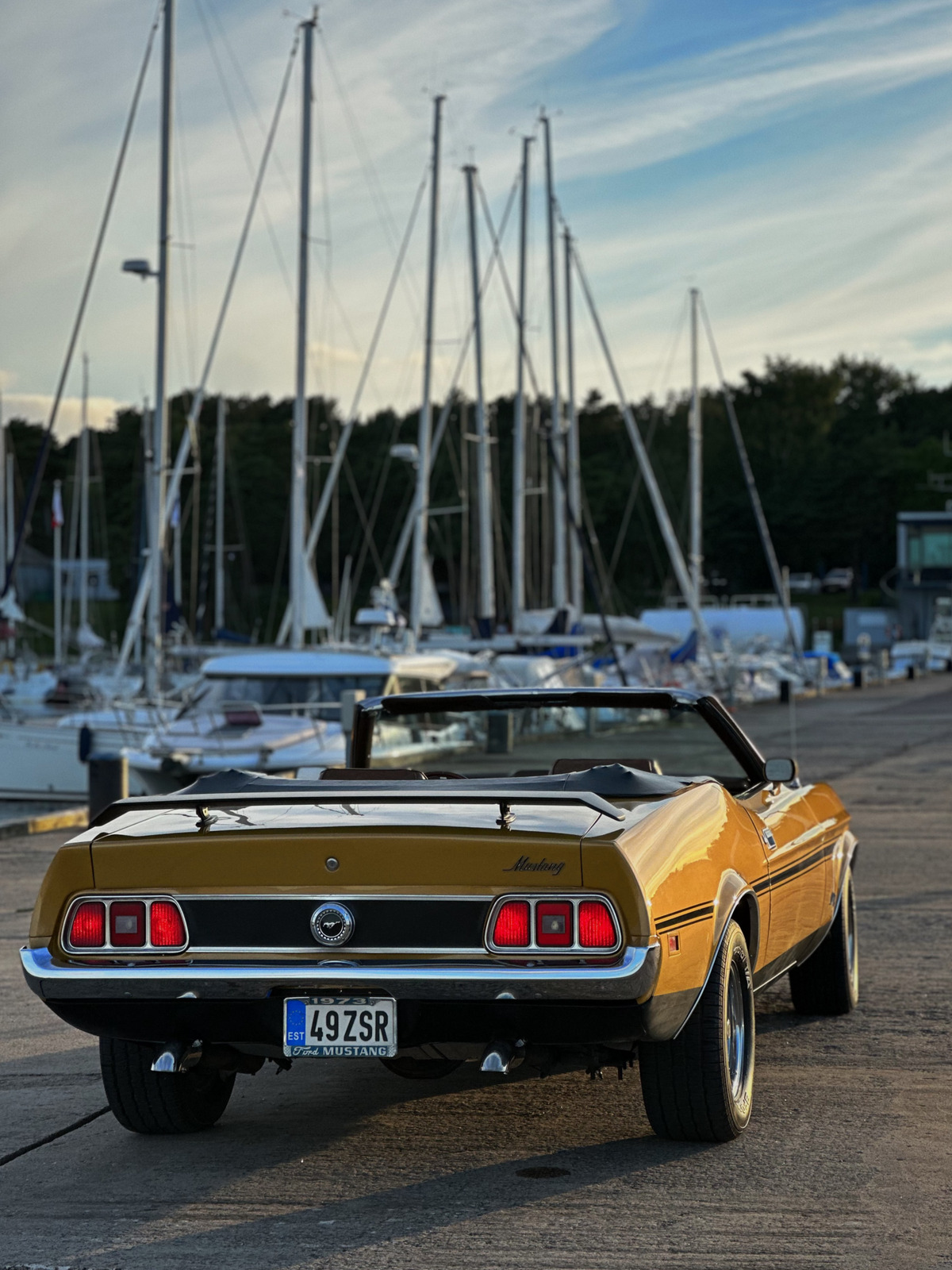 Ford Mustang 1973, photo 5/19