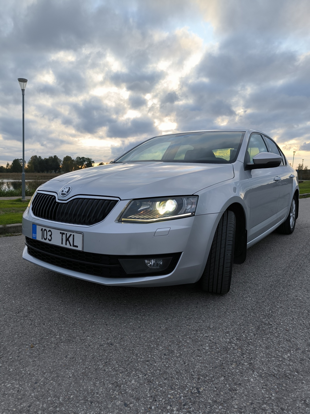 Škoda Octavia 2013, photo 3/20