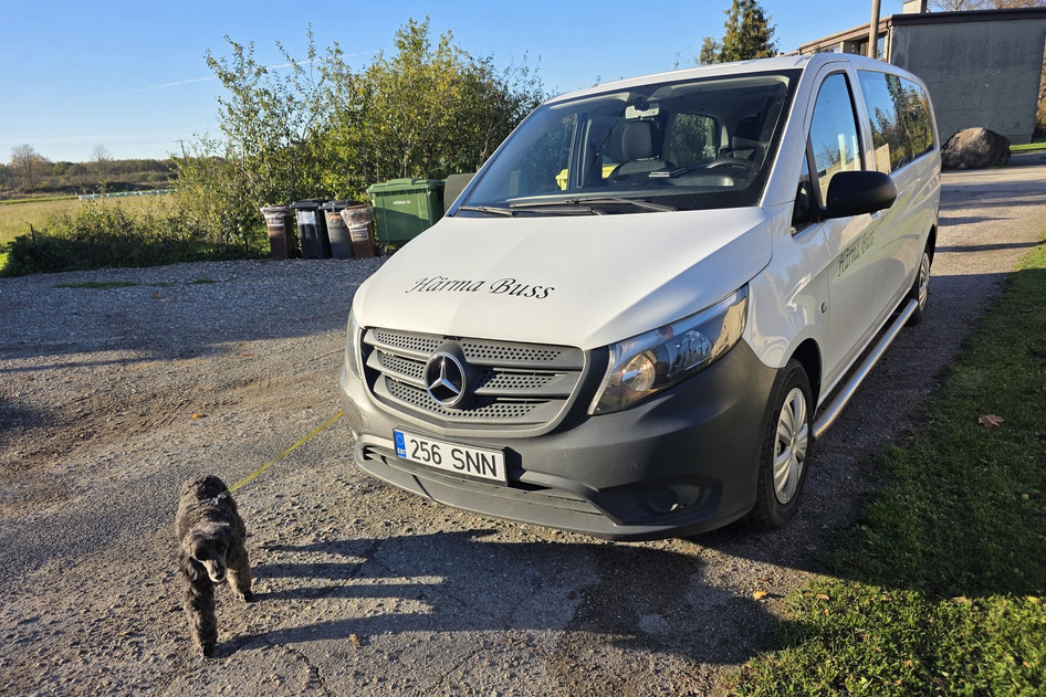 Mercedes-Benz Vito, 2017, 1.6, 65 kW, diesel, manual, rear-wheel drive