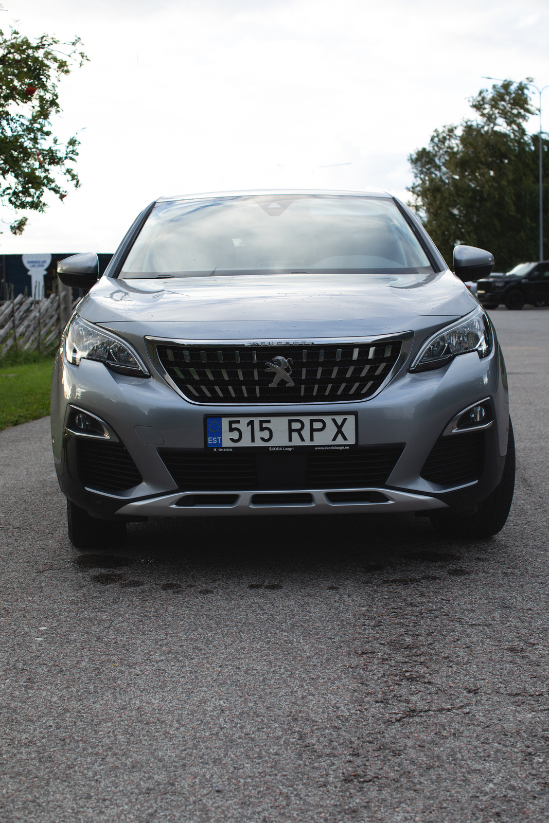 Peugeot 3008 2020, kuva 4/8