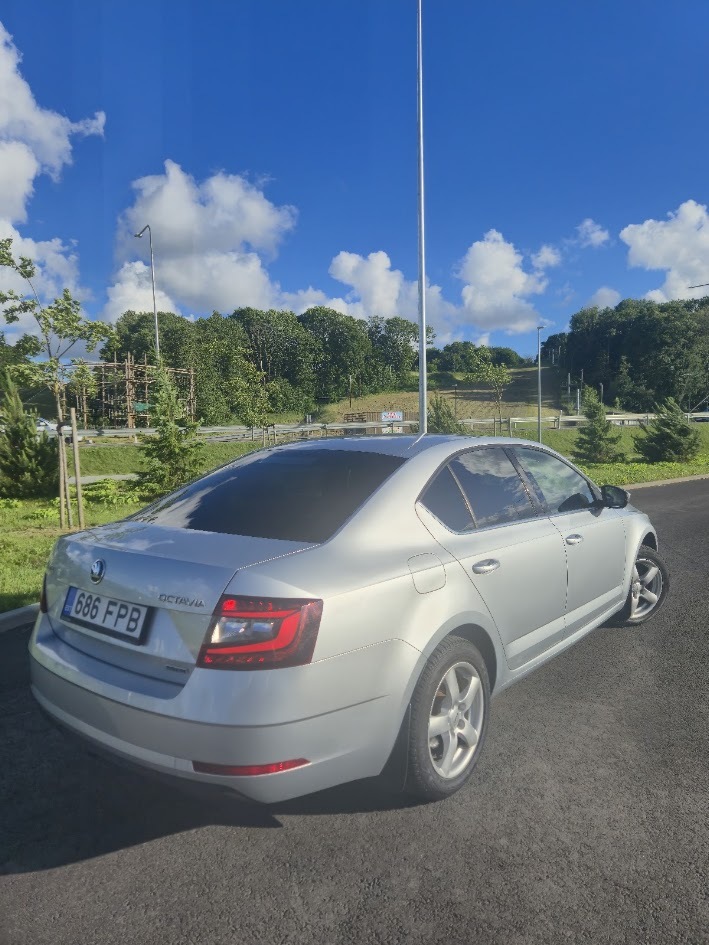 Škoda Octavia 2018, photo 3/8