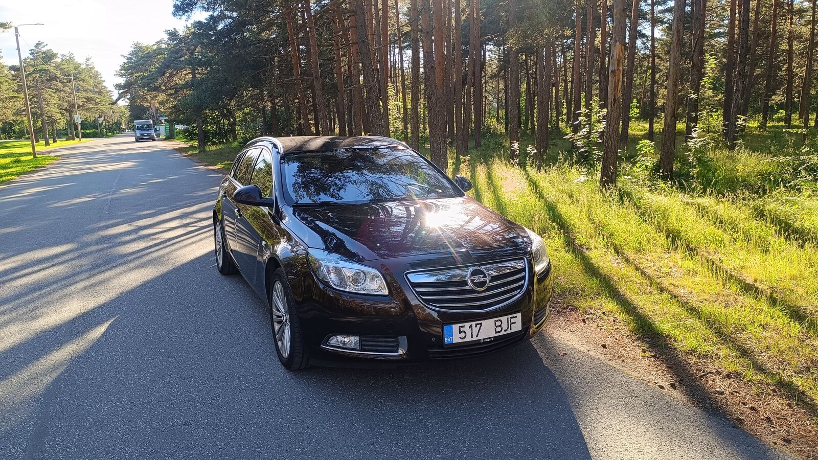 Opel Insignia 2013, photo 5/12