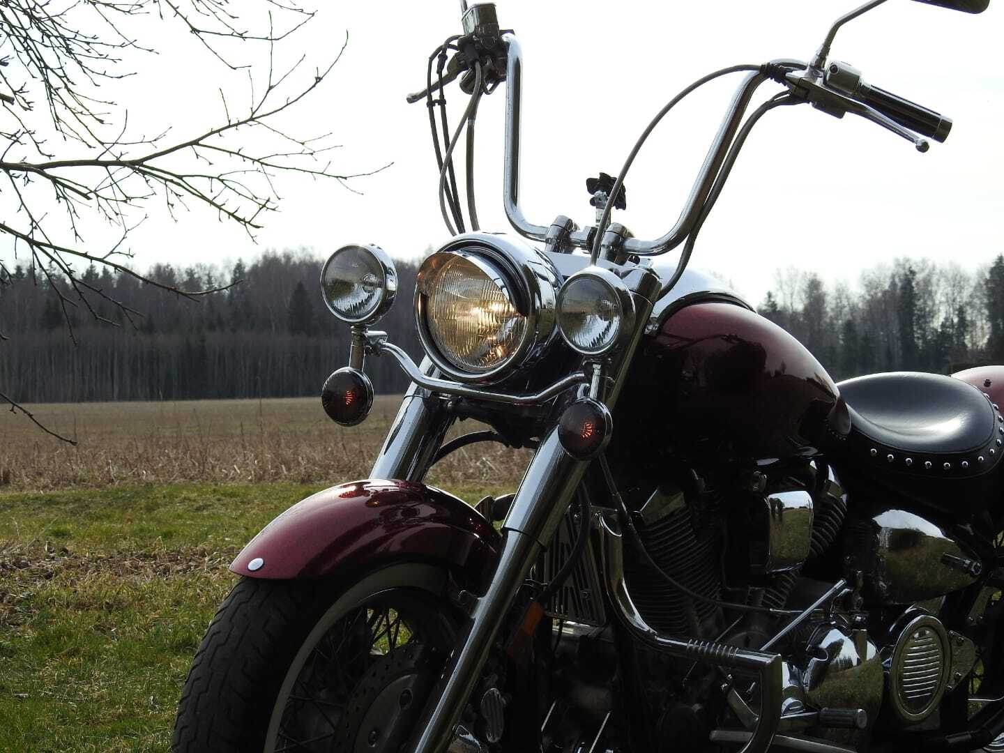 Yamaha 2000, photo 5/8