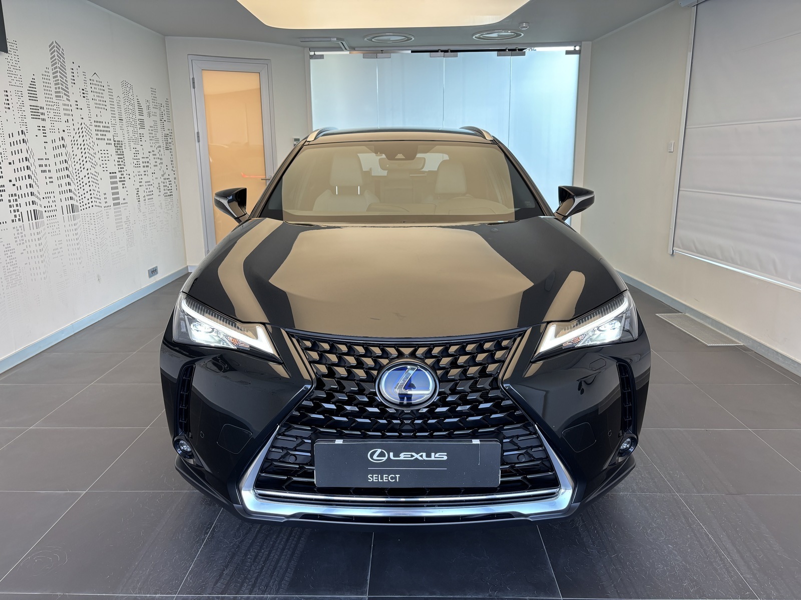 Lexus UX 250 2021, photo 4/18
