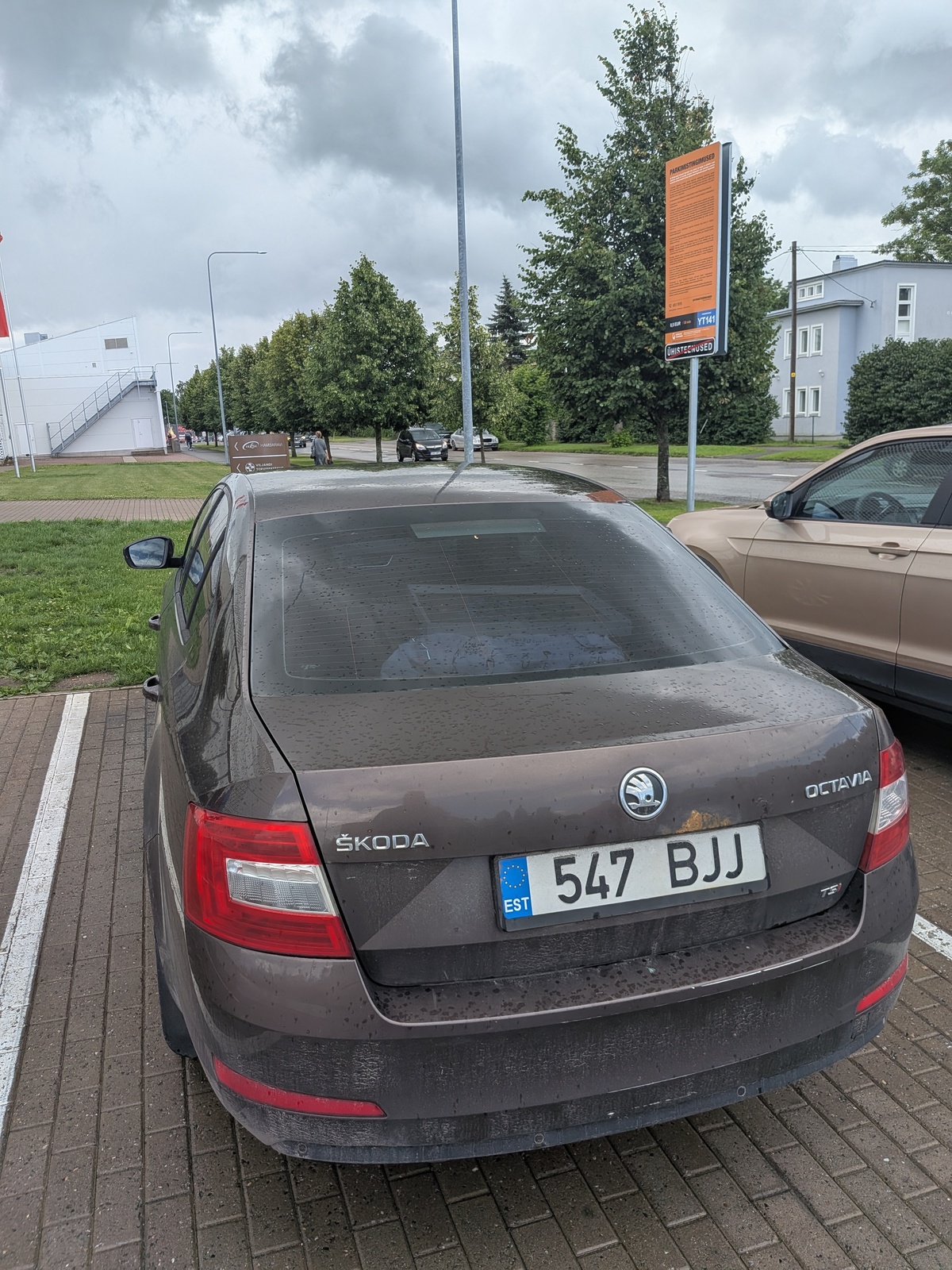 Škoda Octavia 2013, photo 2/4