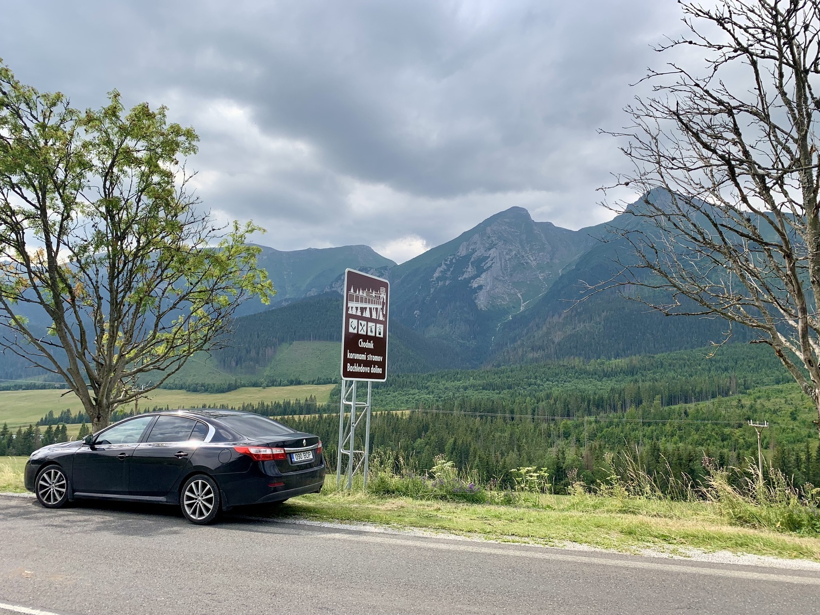 Renault Latitude 2.0 M4R 103kW 2011, photo 2/5