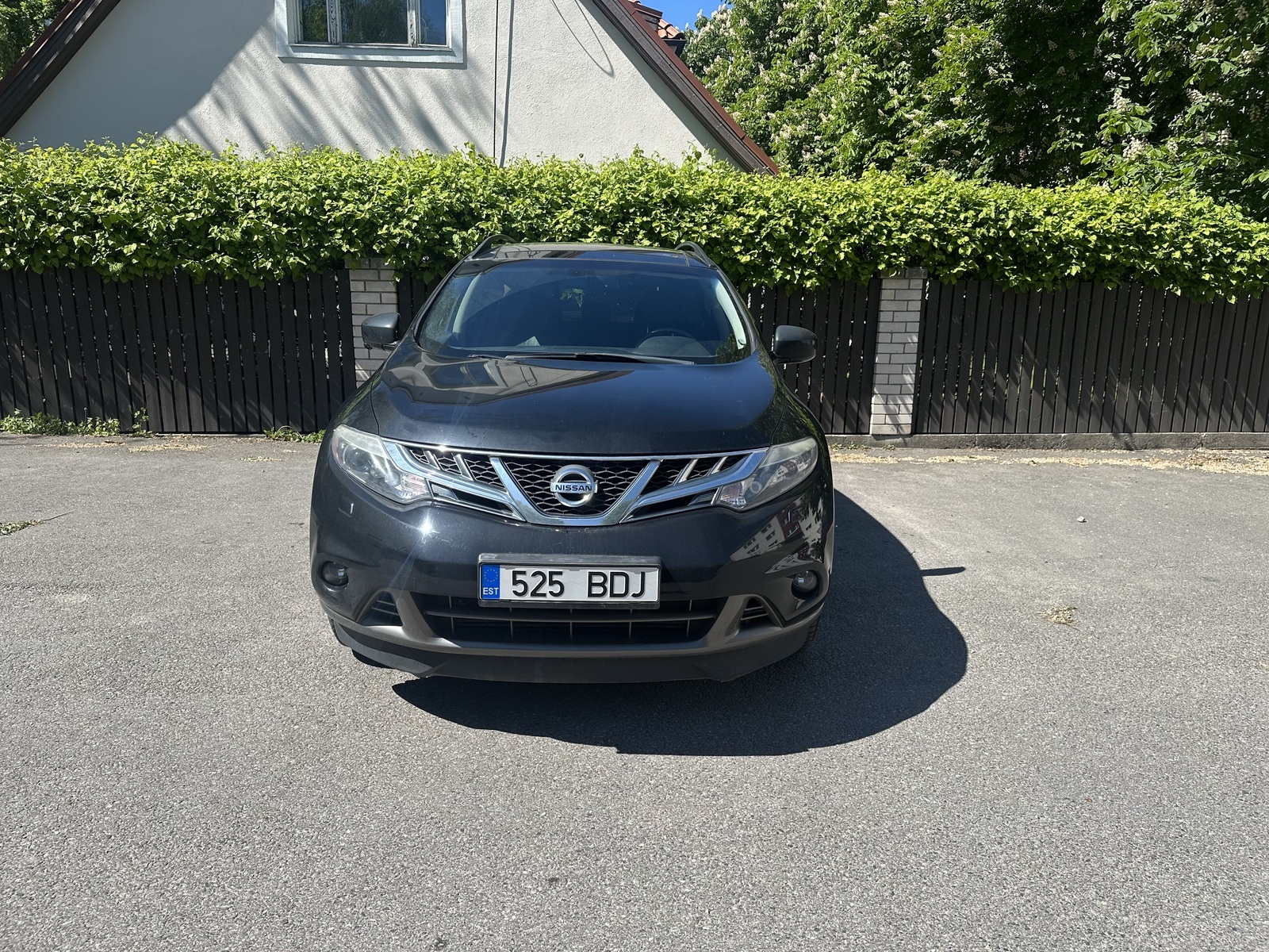 Nissan Murano 2011, photo 3/7