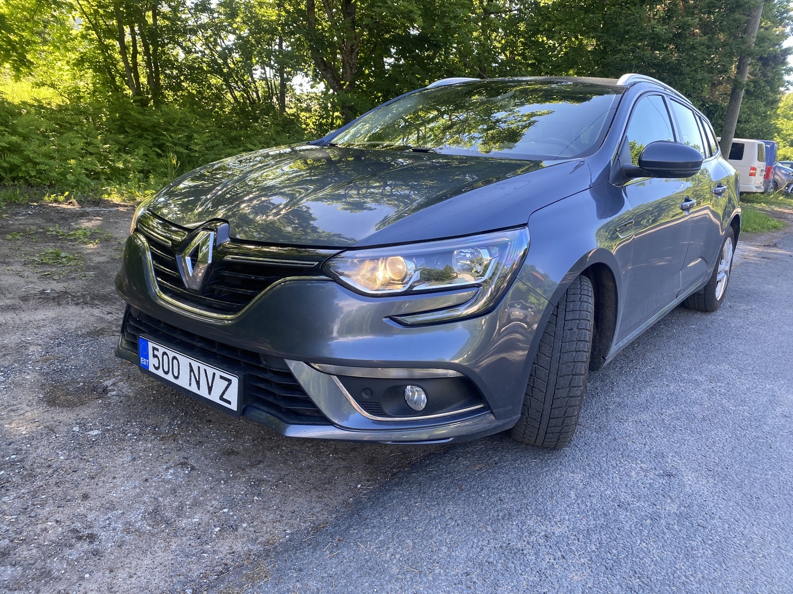 Renault Megane 2019, photo 2/10