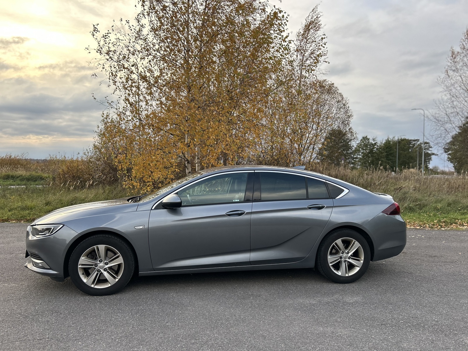 Opel Insignia 2017, photo 3/7