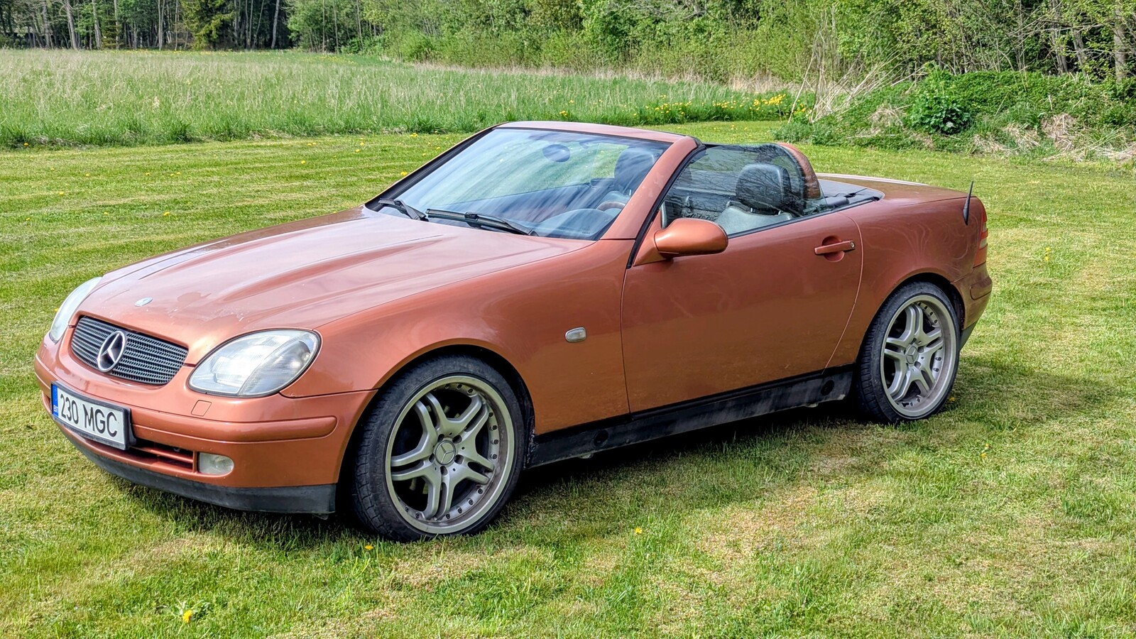 Mercedes-Benz SLK 230 2000, photo 5/11