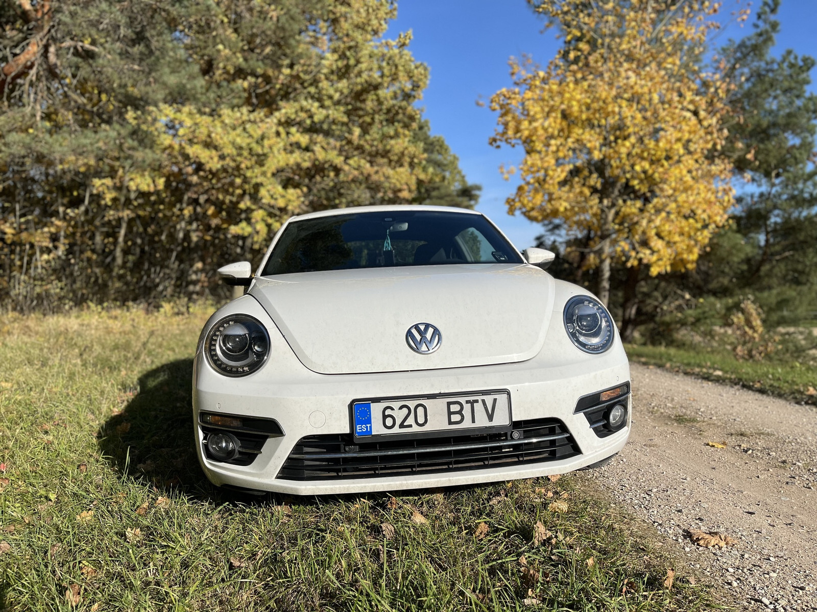 Volkswagen Beetle