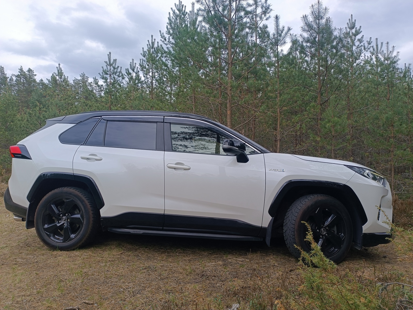 Toyota RAV4 2019, kuva 2/10